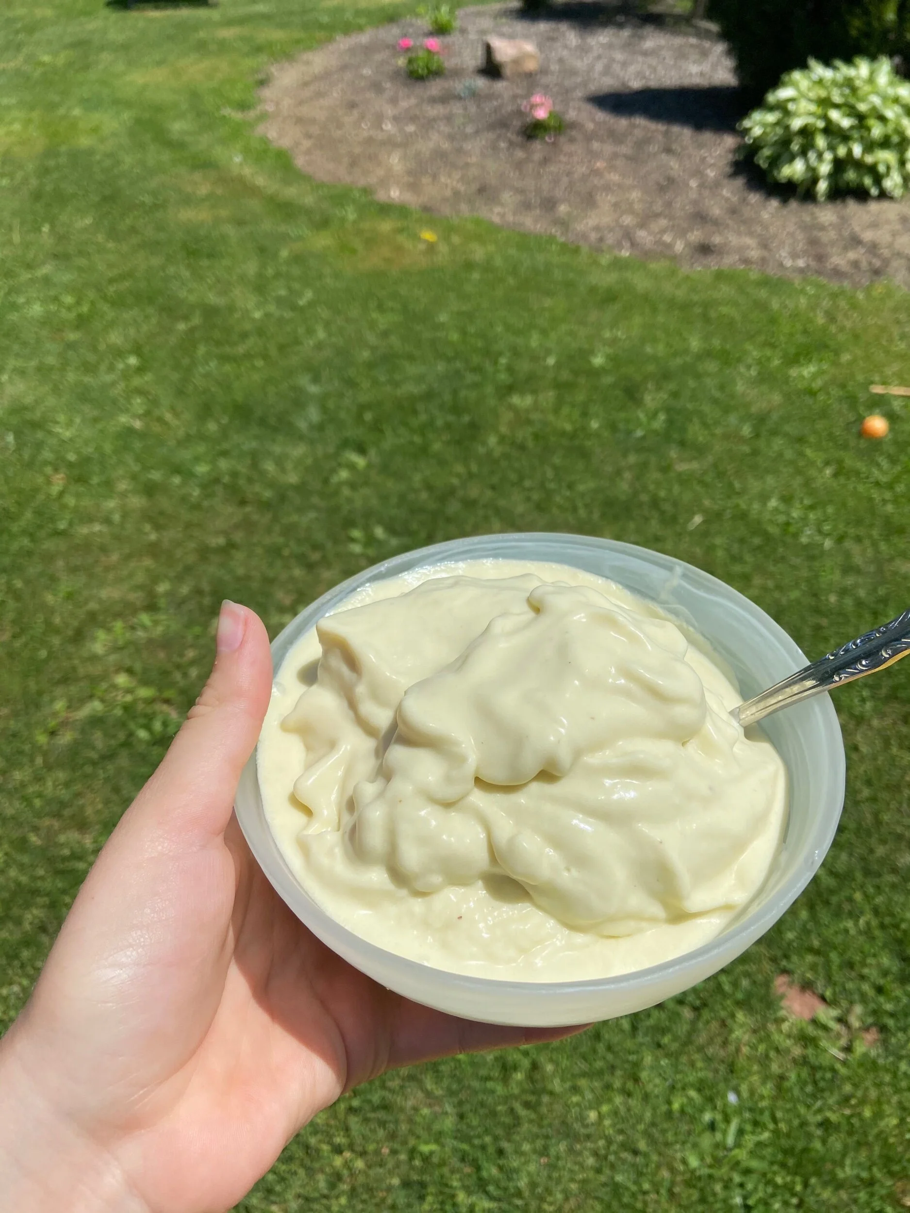Amazing Toddler + Baby Fruit Creamy