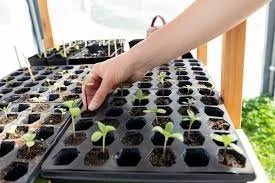 March 14th - Starting Seeds for Summer Workshop