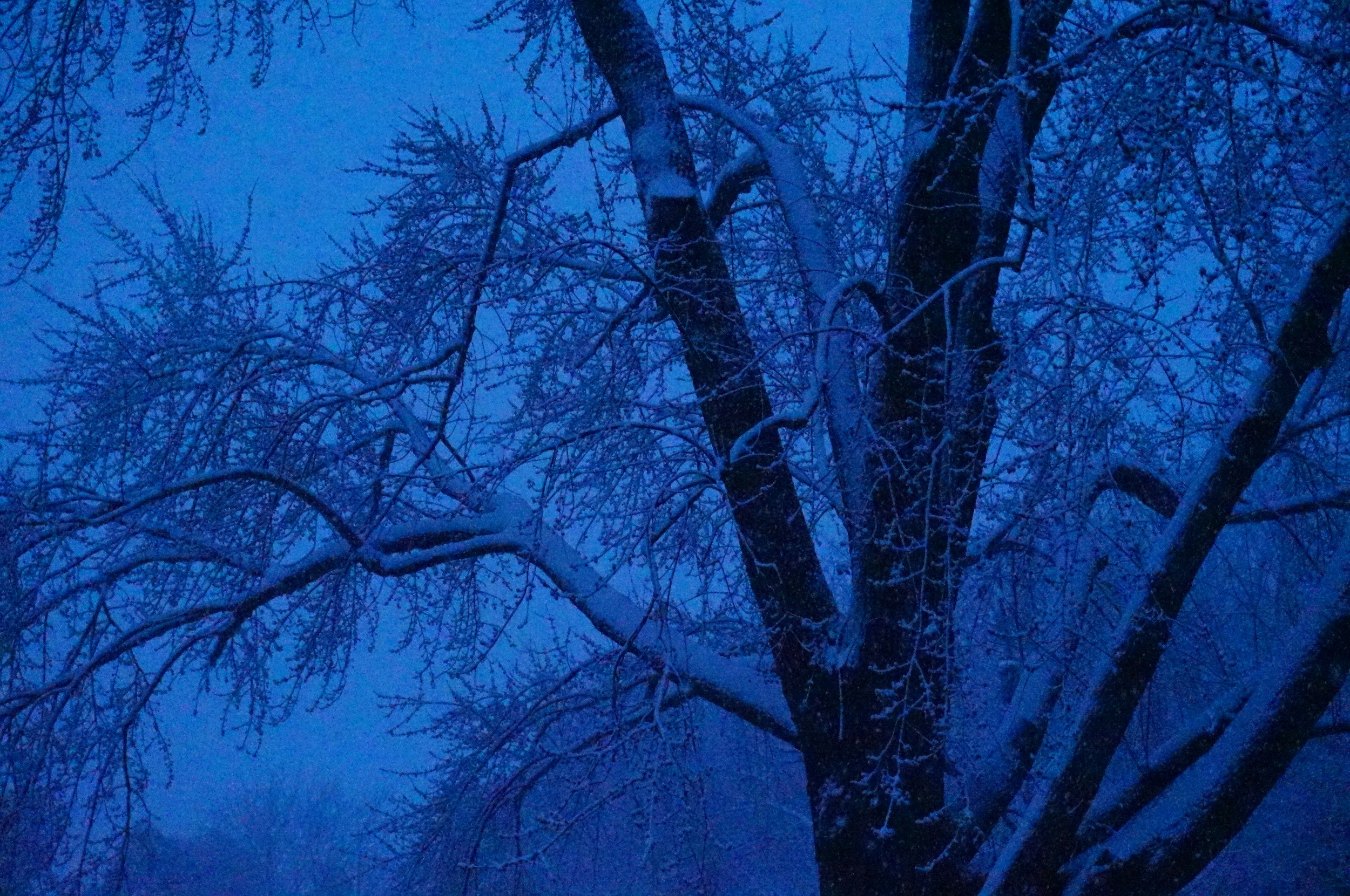 Peaceful winter scene representing hope for seasonal affective disorder recovery