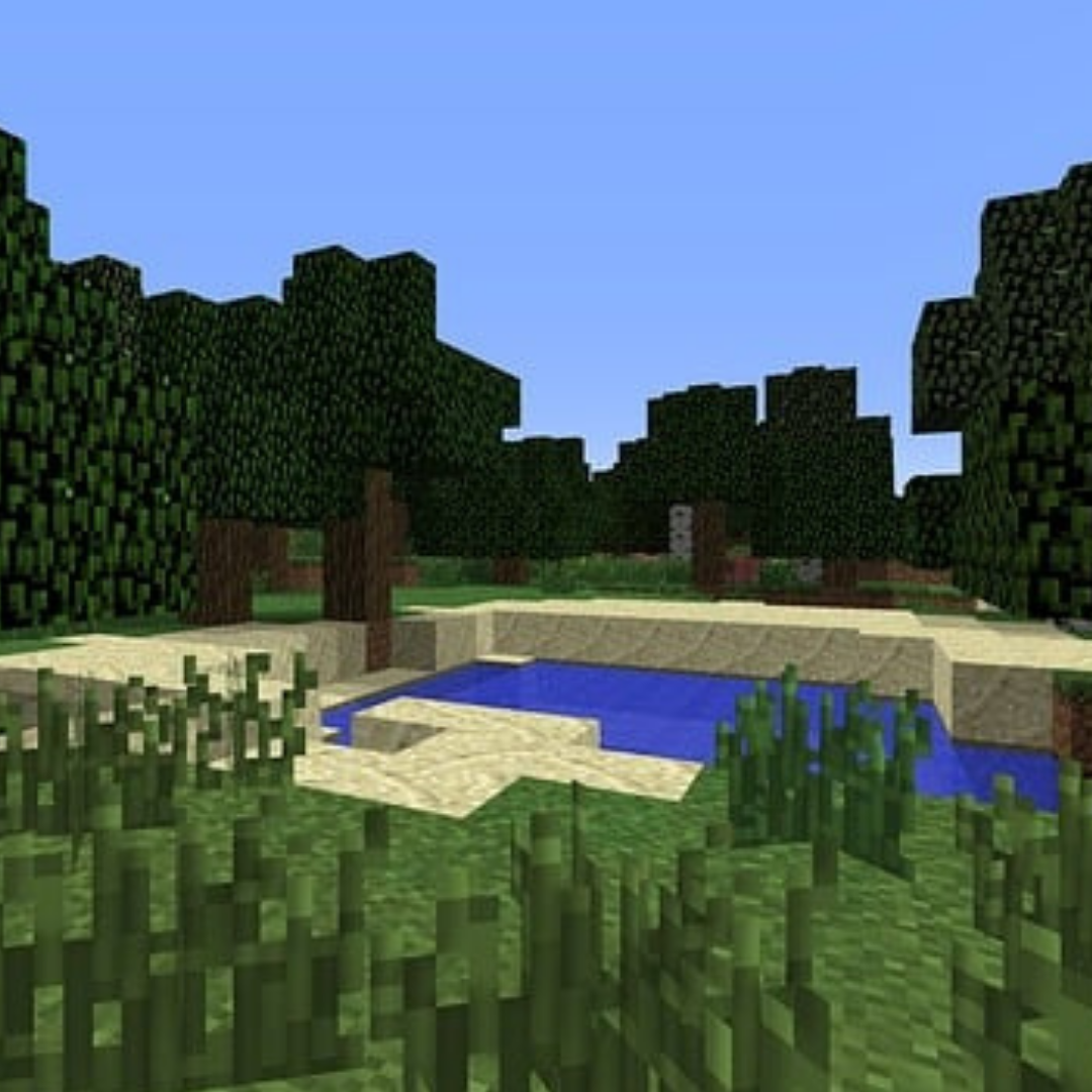 Sr. Minecraft Group