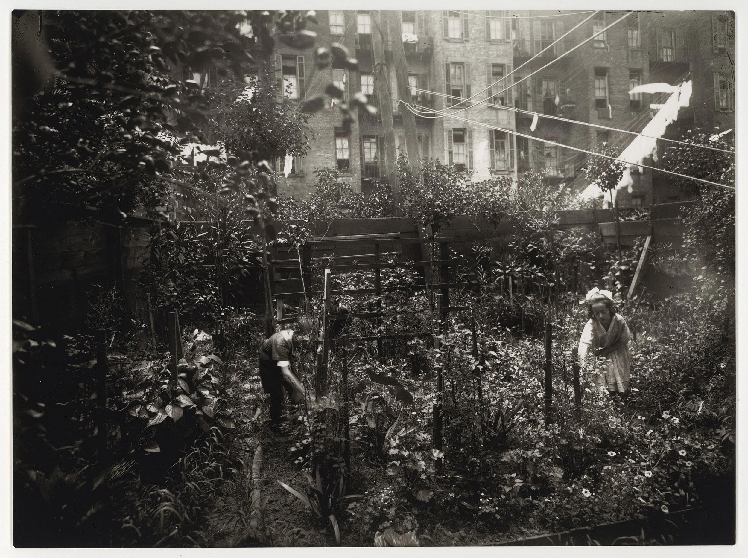 Garden_300.jpg