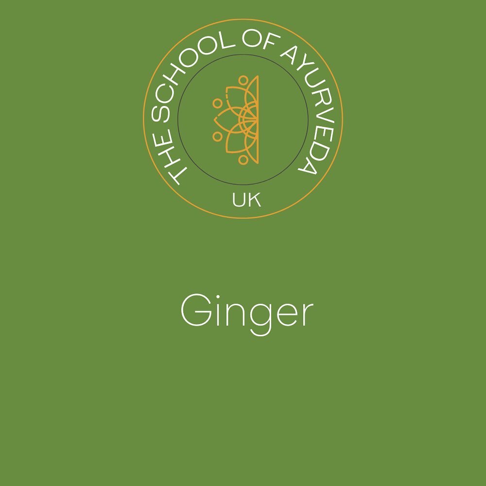 Learn about the amazing benefits of Ginger, a commonly used spice in Ayurveda. 

#ginger
#schoolofayurveda #theschoolofayurvedauk
#ayurvedicliving&nbsp;
#ayurveda101
#Ayurveda
#ayurvediclifestyle 
#ayurvedicnutrition 
#ayurvedalifestyle 
#holistichea