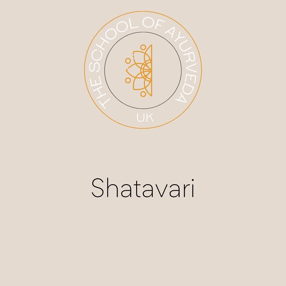 Some of the amazing benefits of Shatavari

Learn more at the School of Ayurveda 

#ayurveda #ayurvedalife #ayurvedamedicine #herbalmedicine #shatavari #theschoolofayurvedauk #ayurvedadiploma #ayurvedaconsultant #learnayurveda #ayurvedatipsforfall