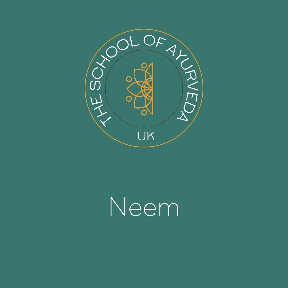 When used correctly, Neem can have many useful benefits. 

Understanding its method of action is key to achieving optimum outcomes. 

Learn more about Neem at the School of Ayurveda 

#ayurveda #ayurvedalife #ayurvedamedicine #herbalmedicine #neem #t