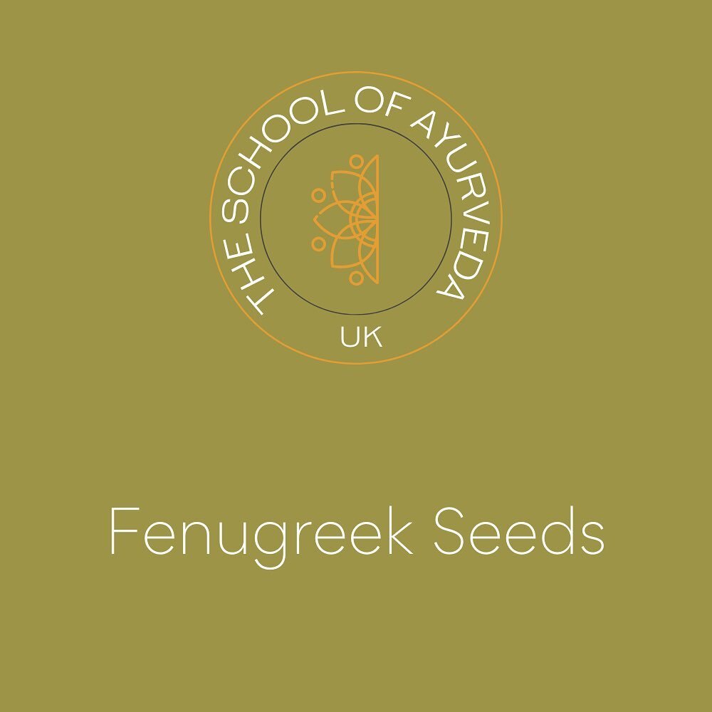 Some of the amazing benefits of fenugreek seeds and how to use for maximum benefits:

Note for soothing the gut and lungs add fenugreek seeds to a mug with hot water, let it soak for a few minutes. Then consume the tea, for extra benefits you can als