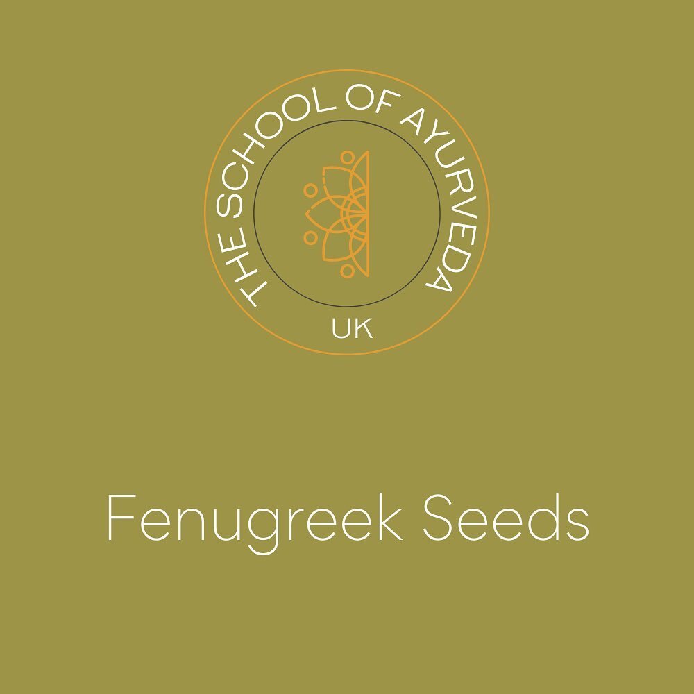 Some of the amazing benefits of fenugreek seeds and how to use for maximum benefits:

Note for soothing the gut and lungs add fenugreek seeds to a mug with hot water, let it soak for a few minutes. Then consume the tea, for extra benefits you can als