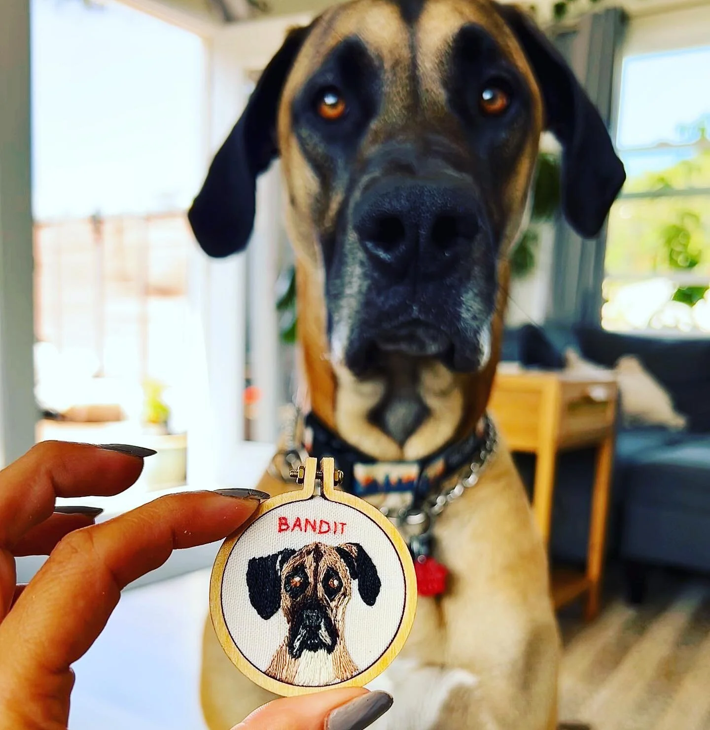 Bandit might be the perfect dog. He&rsquo;s also crazy handsome 🔥Only problem is - he&rsquo;s not mine. We love you @bandit_thegreat_