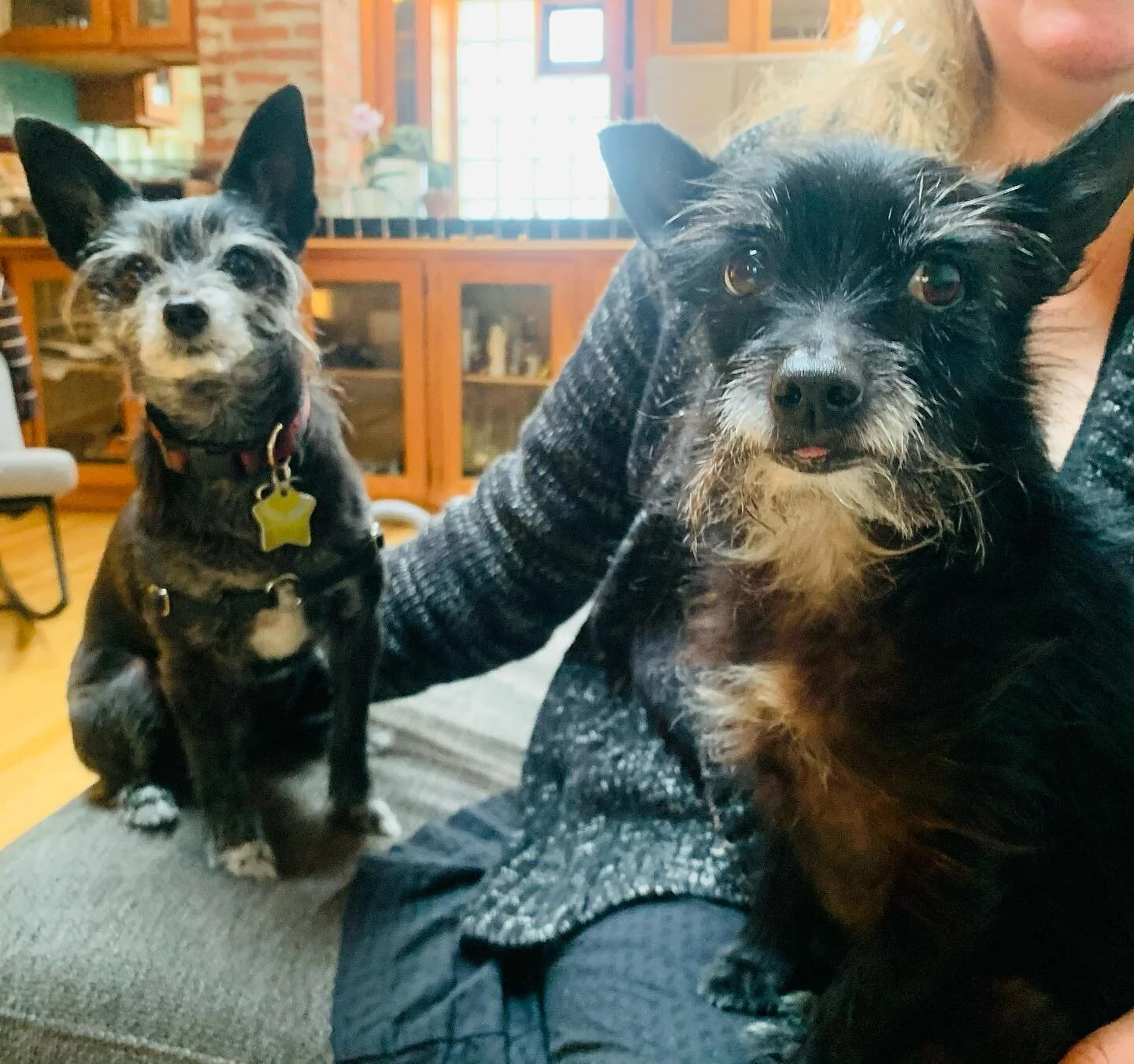 GG cloned herself
⚡️The wizard sisters ⚡️