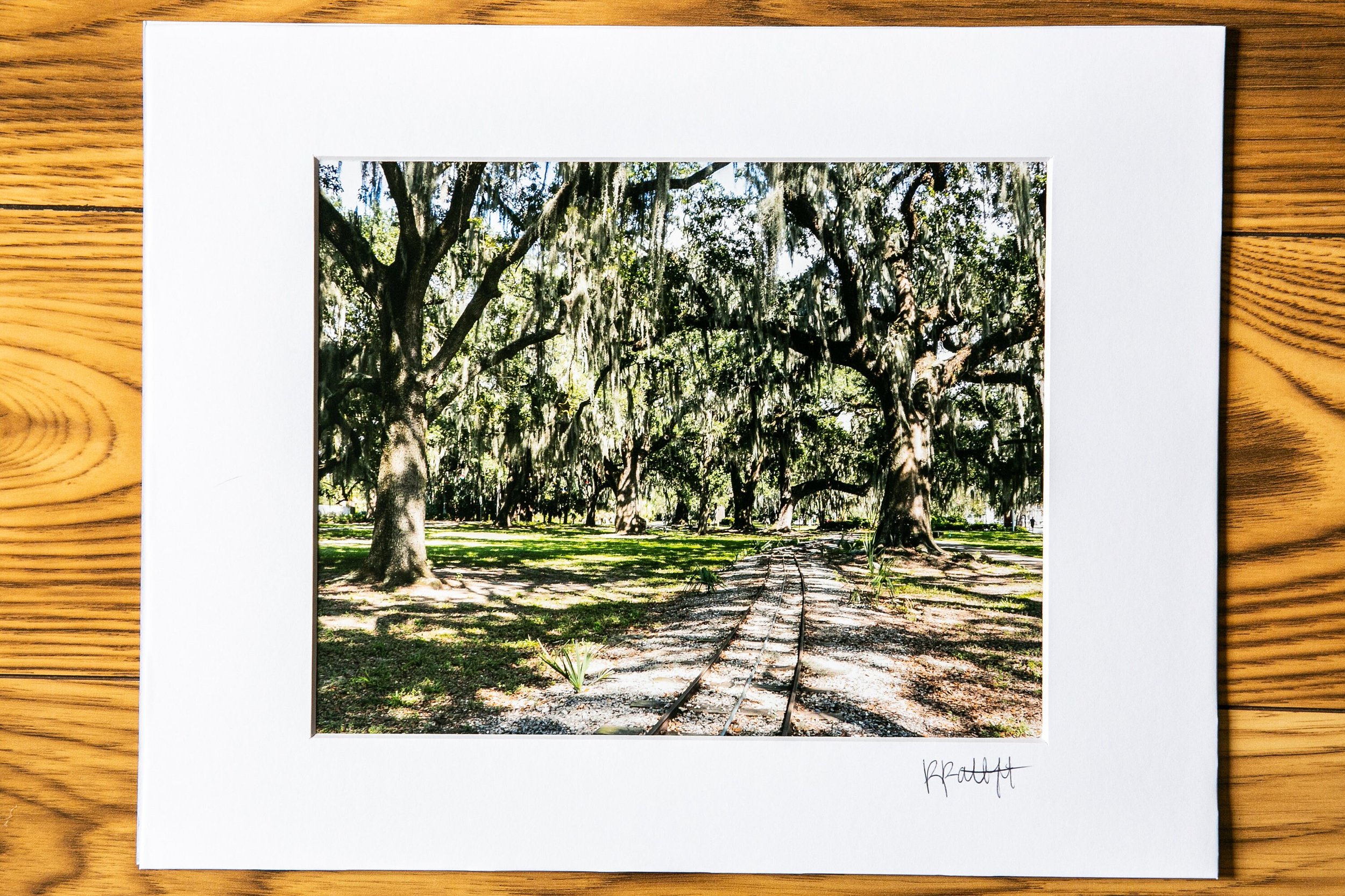 New Orleans City Park