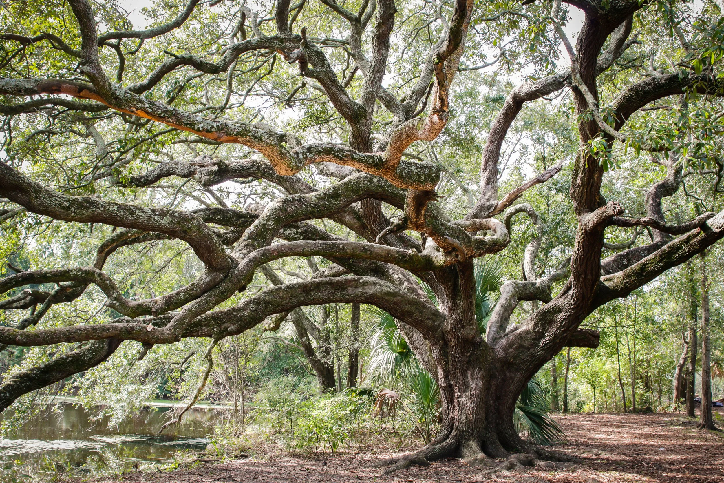 Easy tips to live a sustainable and eco-friendly life