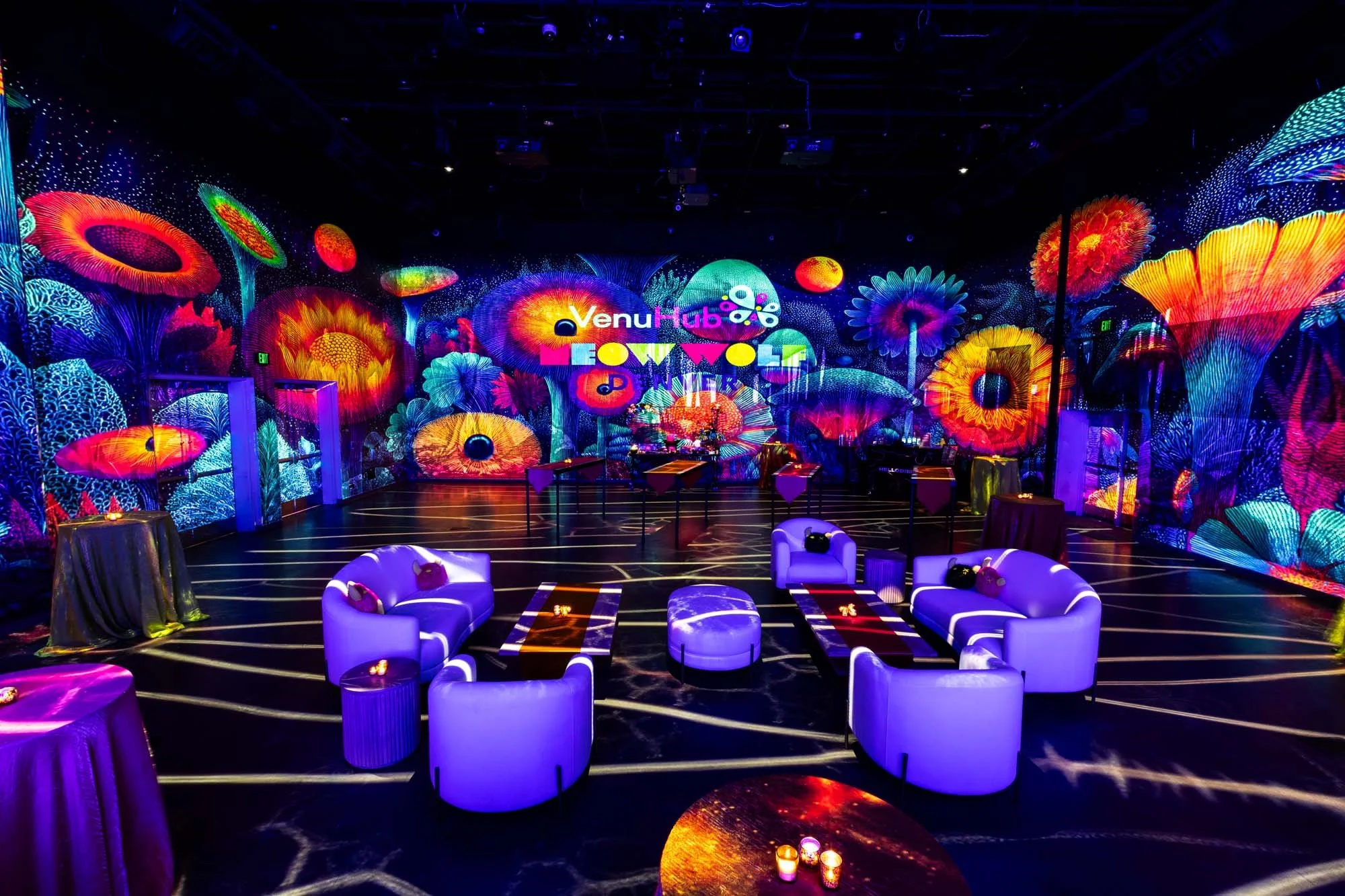 Photography for Meow Wolf Denver
