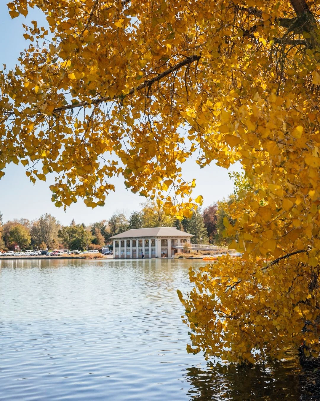 Colorado has been showing off this fall 🍂 

From Aspen&rsquo;s golden peaks to the vibrant colors in Denver and Frisco, it&rsquo;s been hard not to stop and take it all in.

While we love traveling the world, there&rsquo;s something so special about