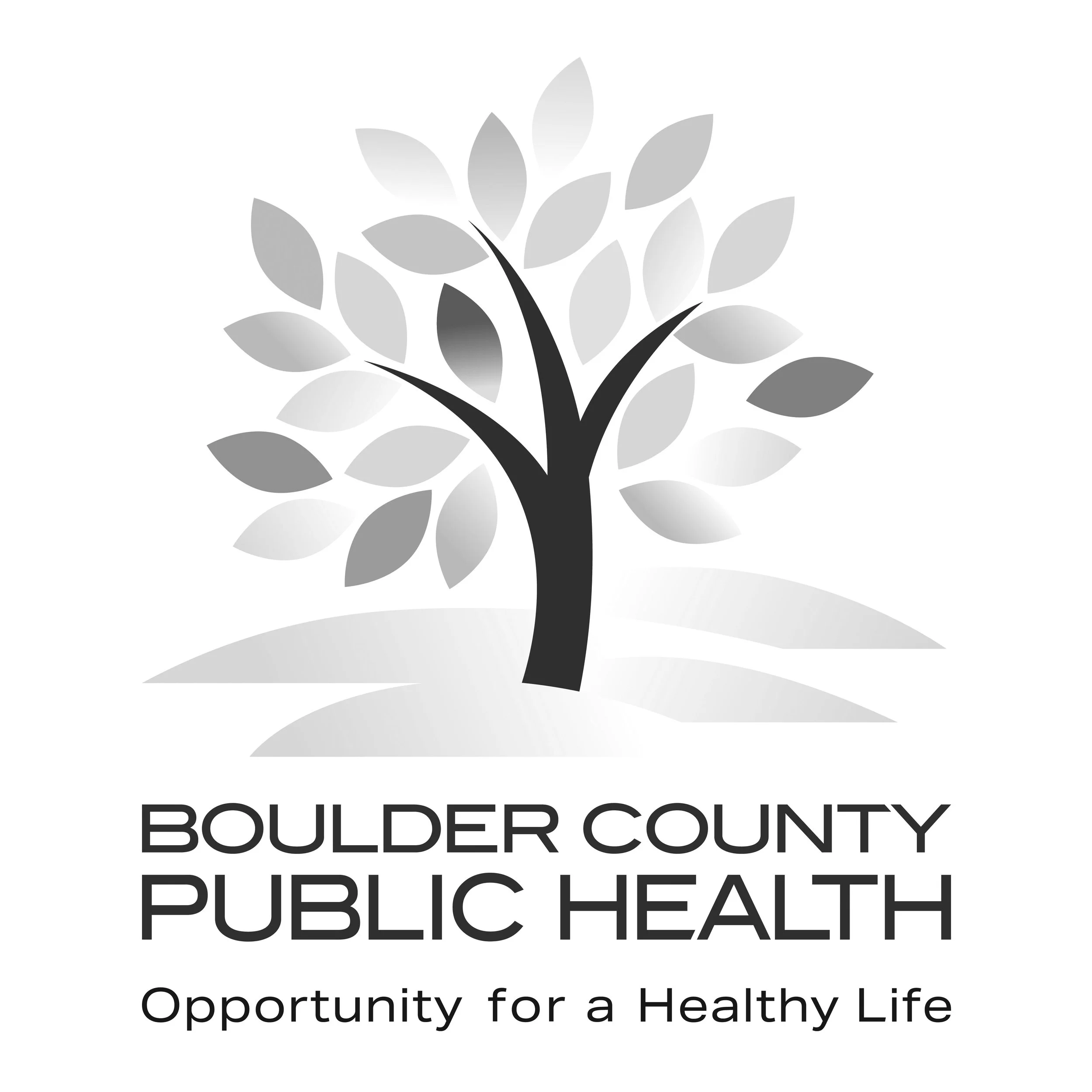 01_BCPH_Primary_RGB HEX.jpg