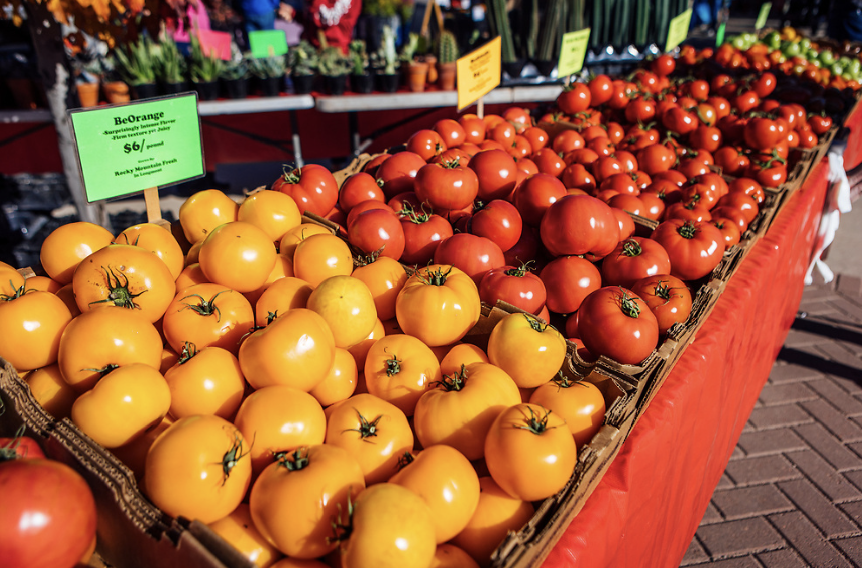 Orange, red and green tomatoes for sale at farmers market