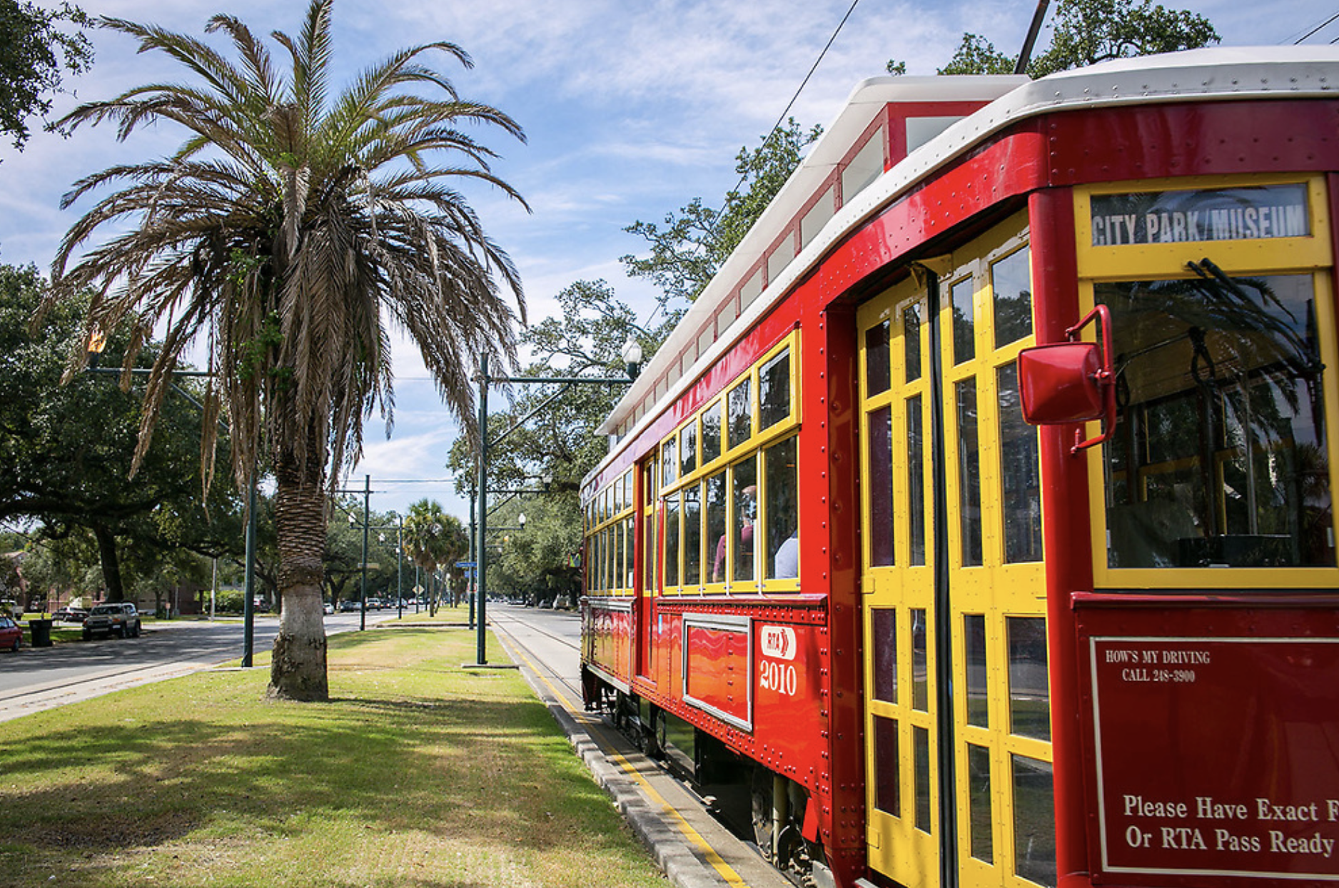 New Orleans street car next to palm tree