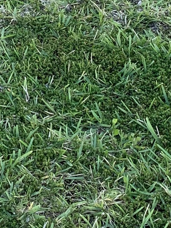 IMG_8982.jpeg