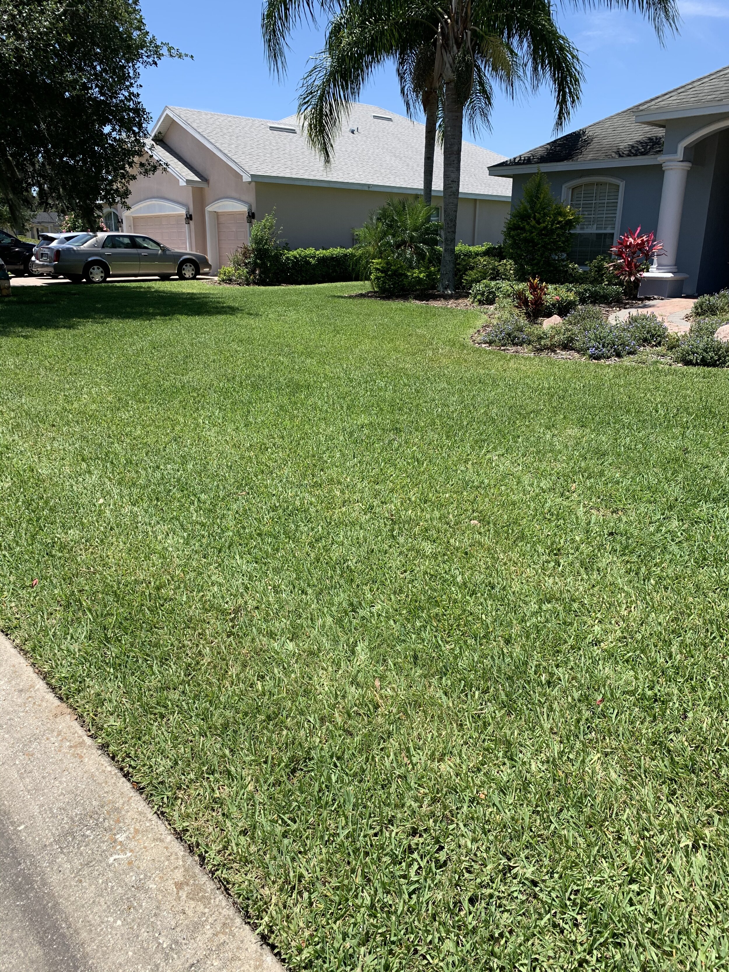 IMG_9030.jpeg