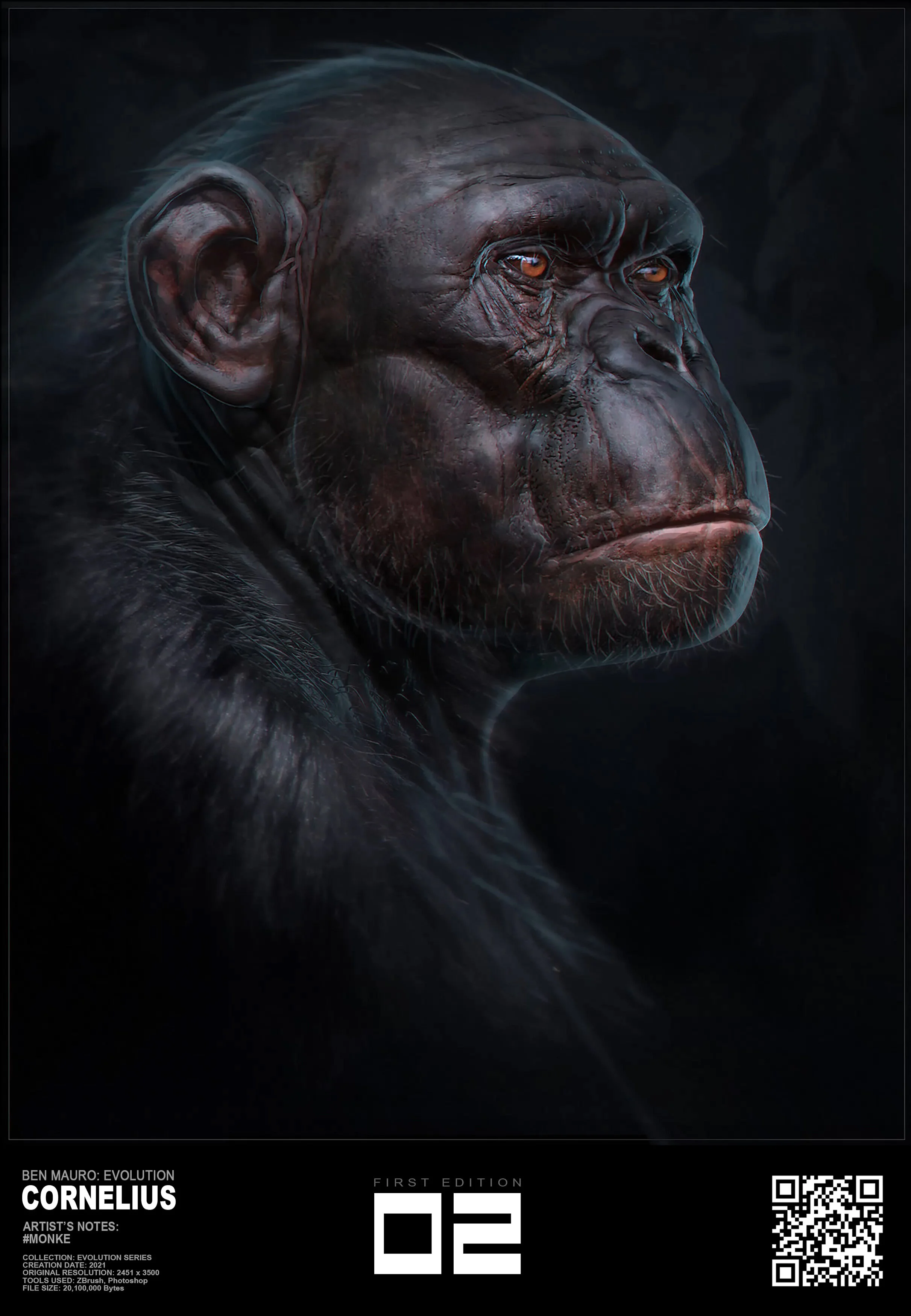 02_EVOLUTION_BenMauro.jpg