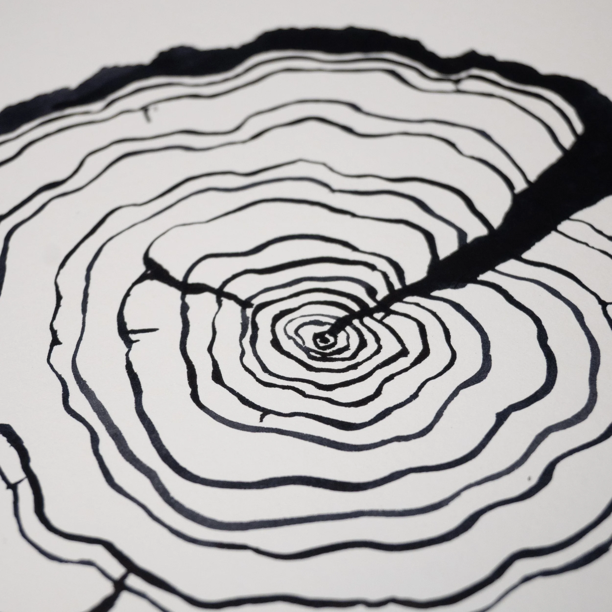 Ink Tree Ring 01c.jpg