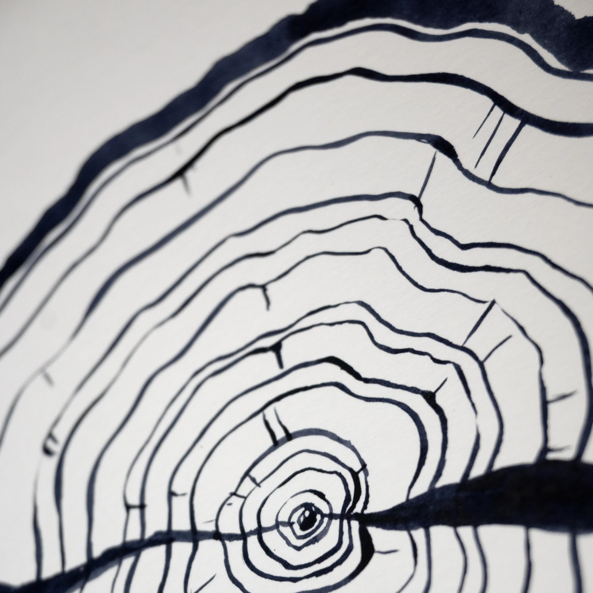 Ink Tree Ring 07c.jpg