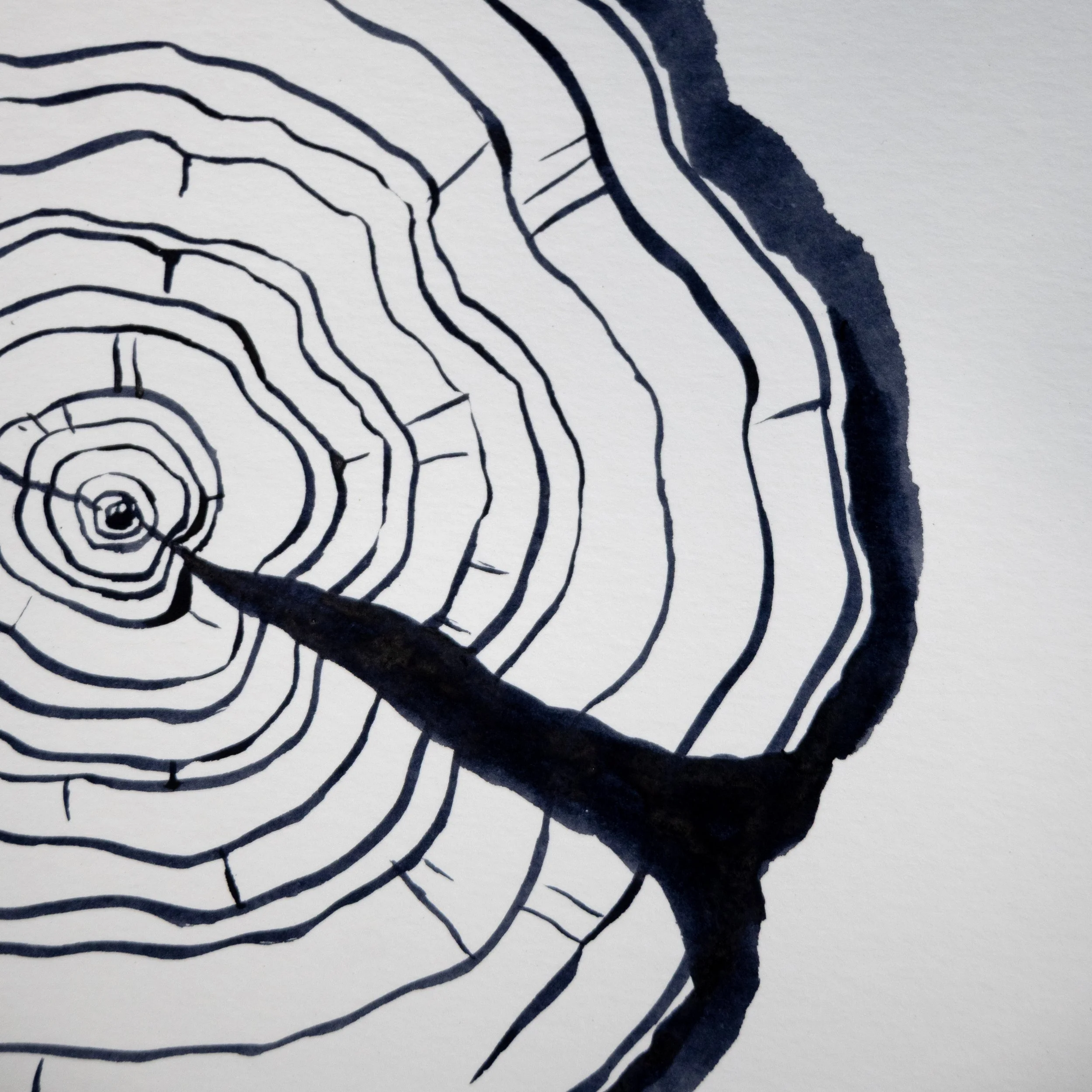 Ink Tree Ring 07b.jpg