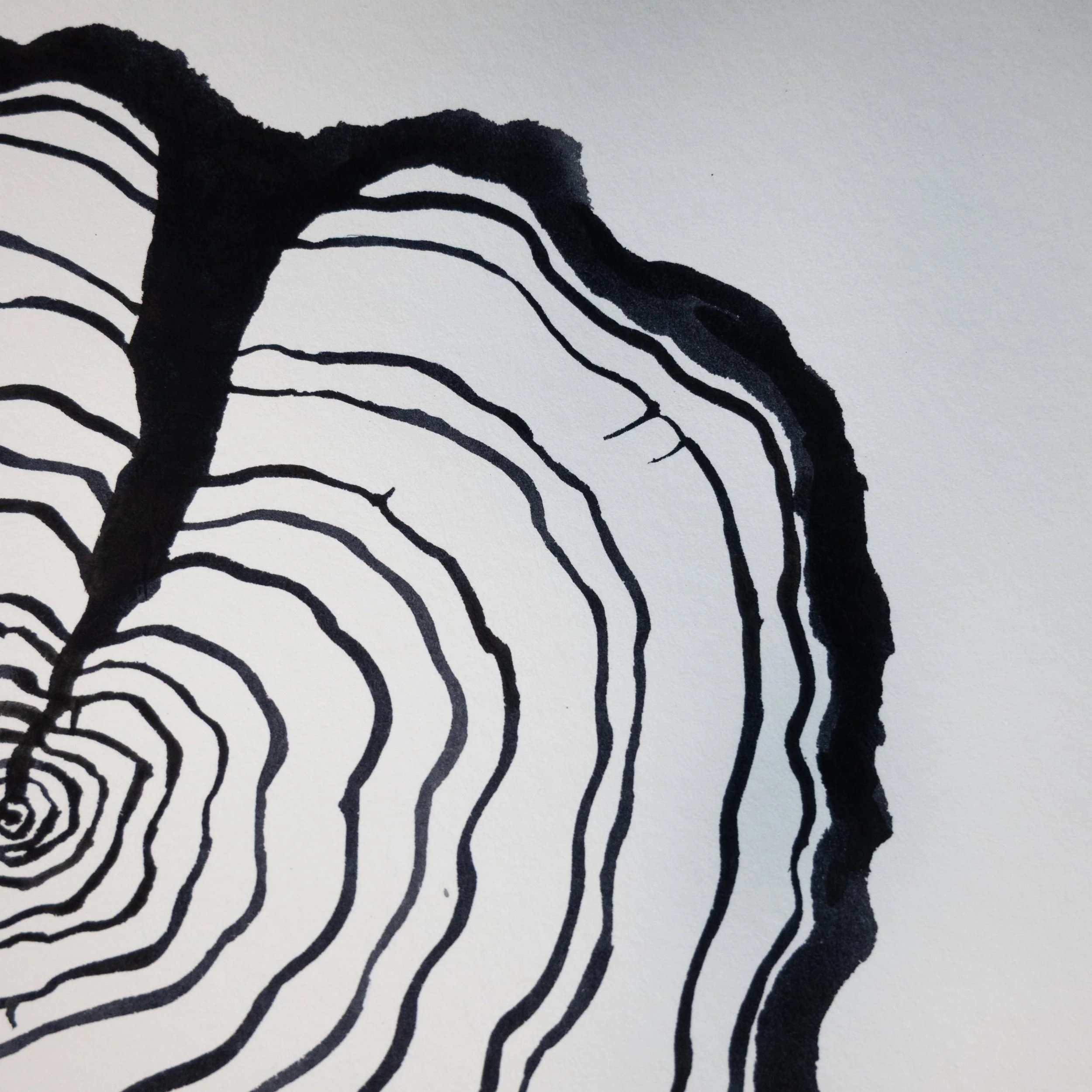 Ink Tree Ring 01b.jpg