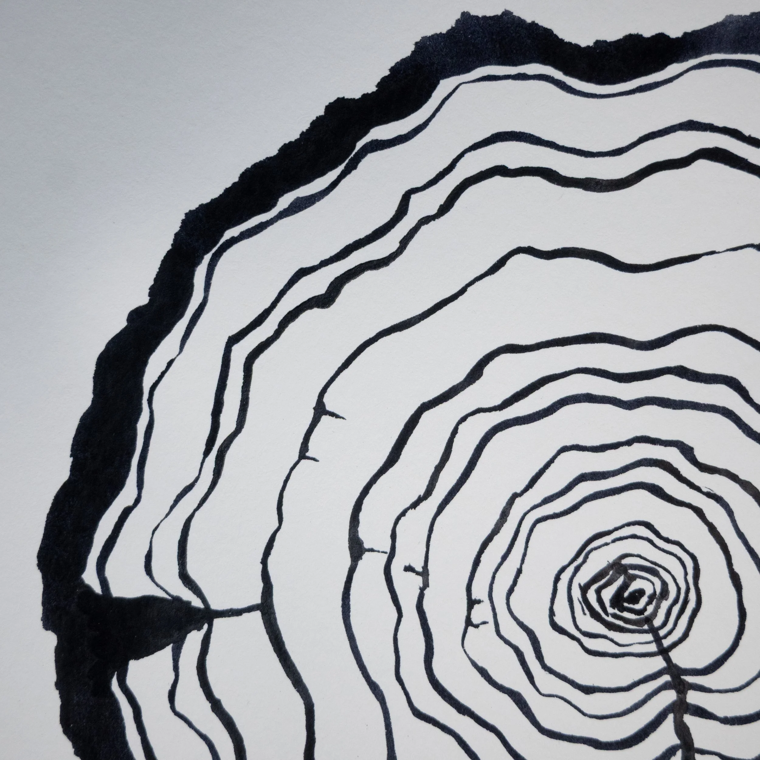Ink Tree Ring 04b.jpg