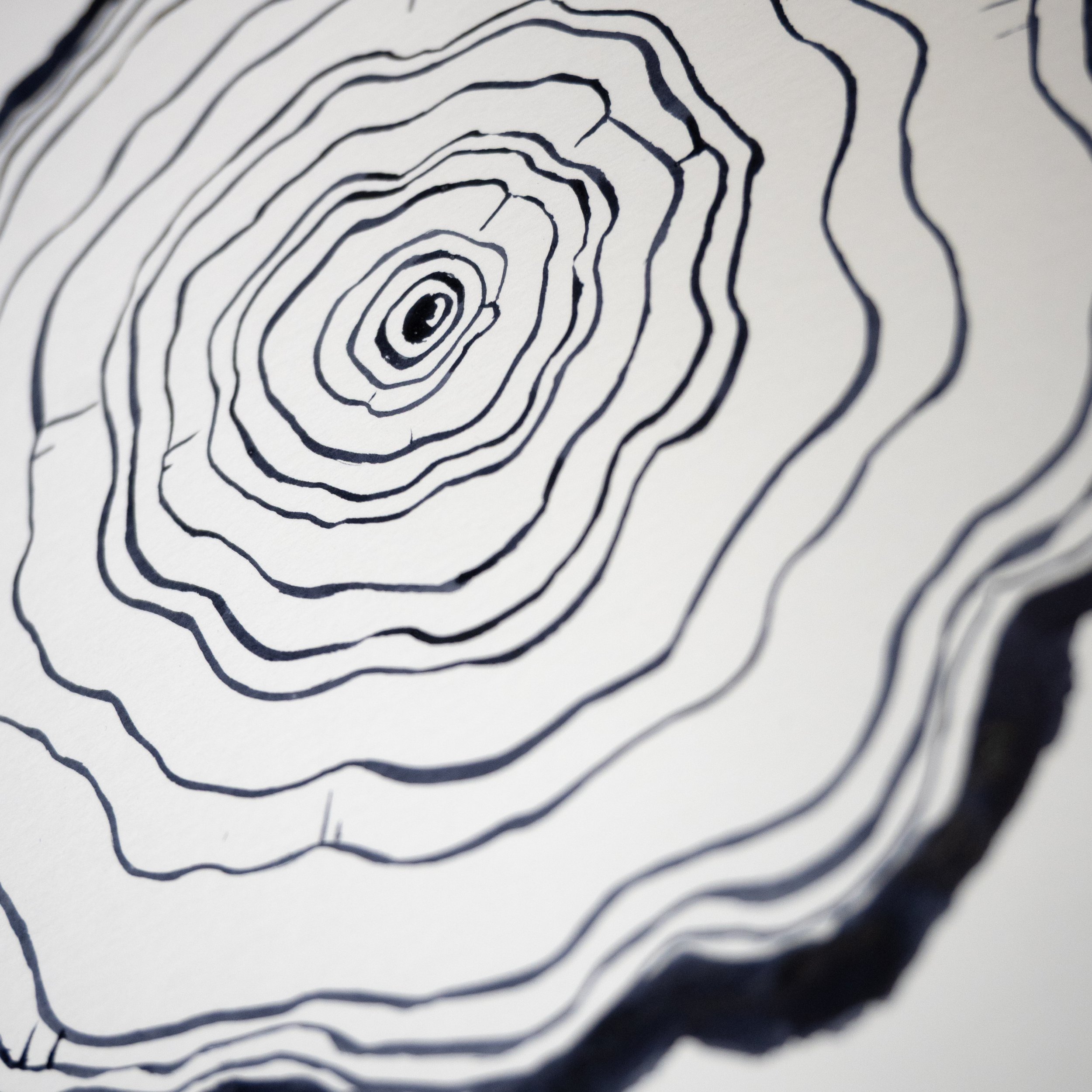 Ink Tree Ring 08b.jpg