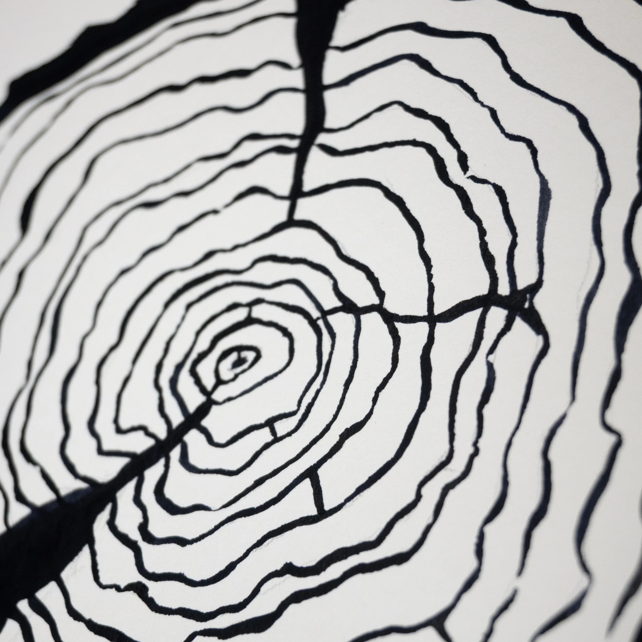 Ink Tree Ring 05c.jpg