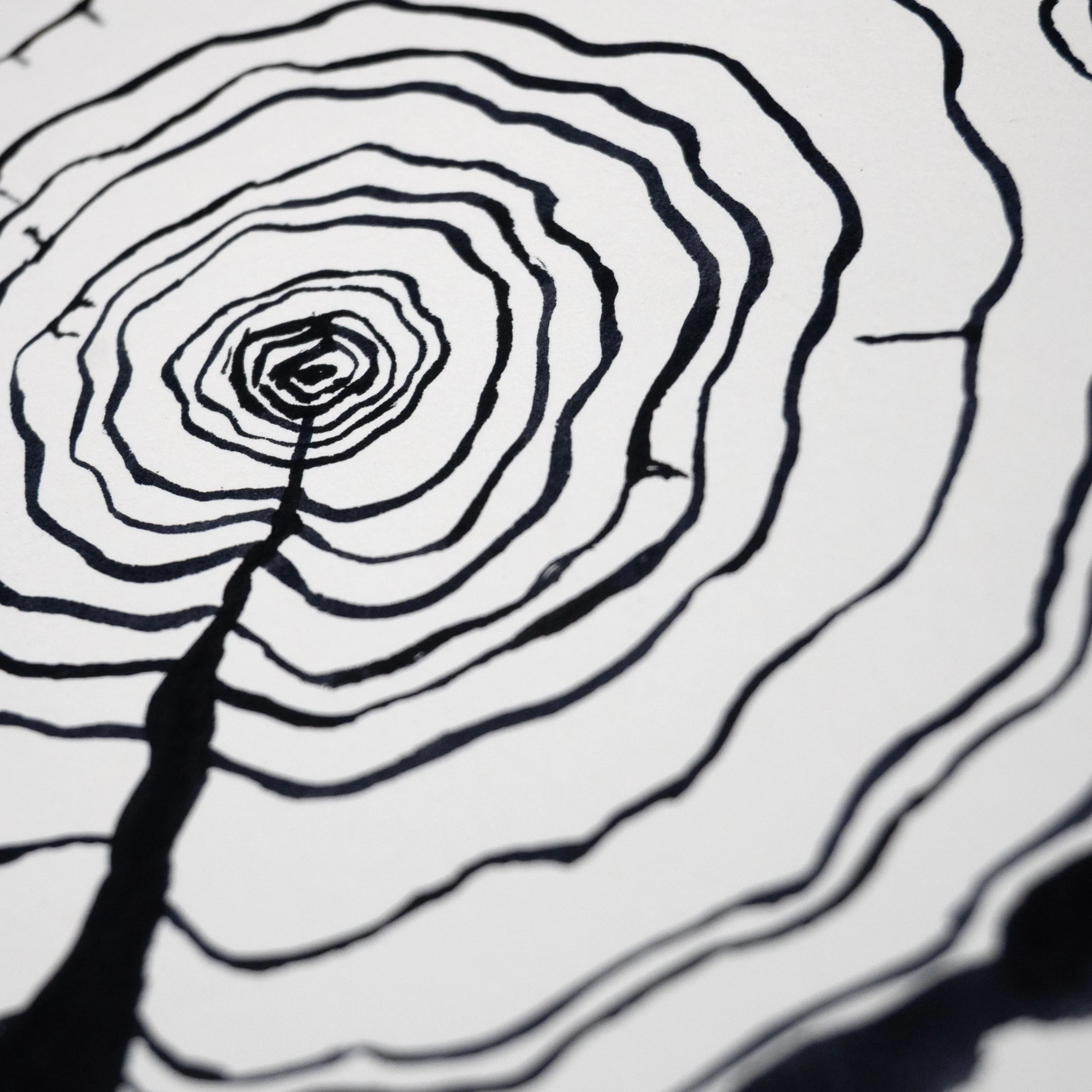 Ink Tree Ring 04c.jpg