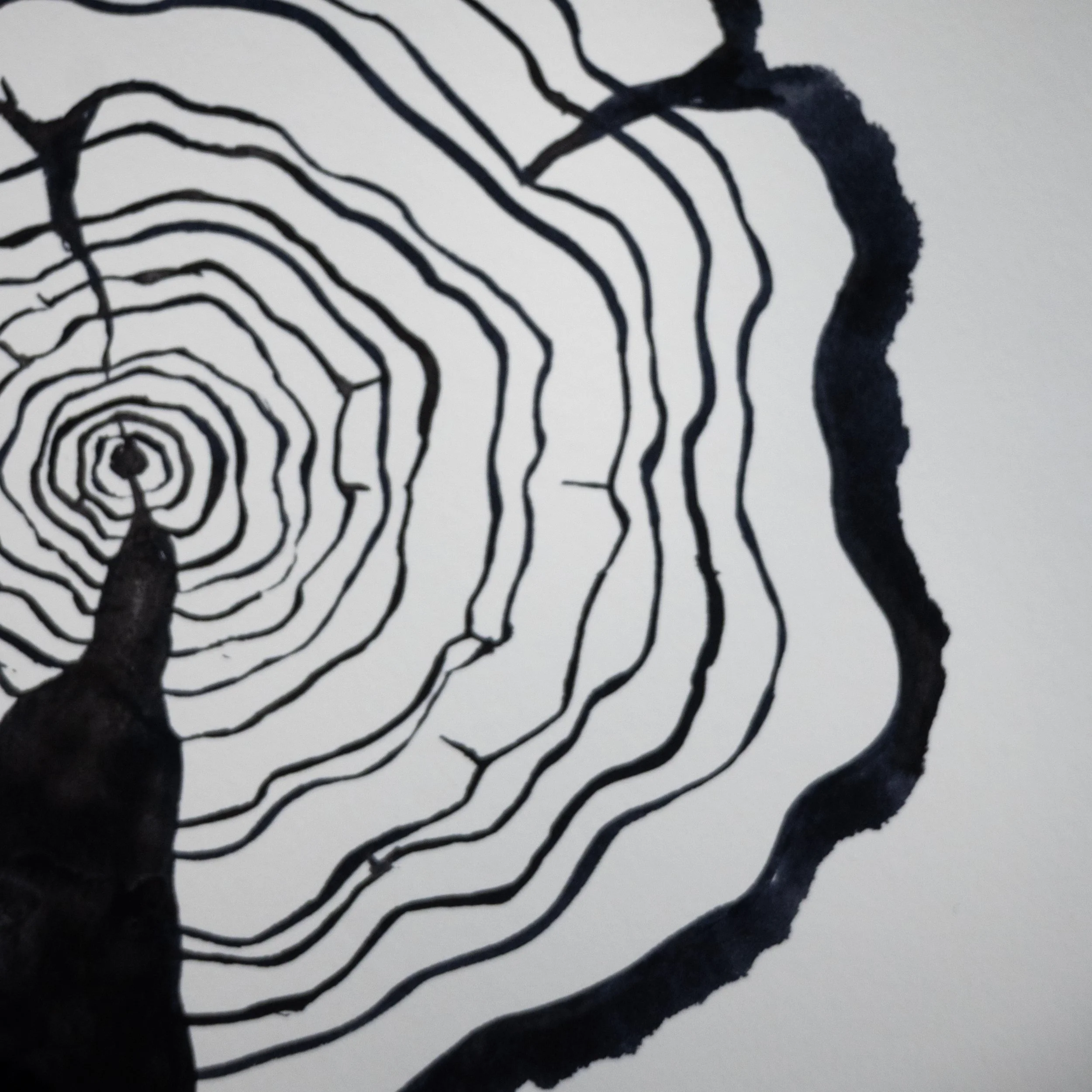 Ink Tree Ring 02b.jpg