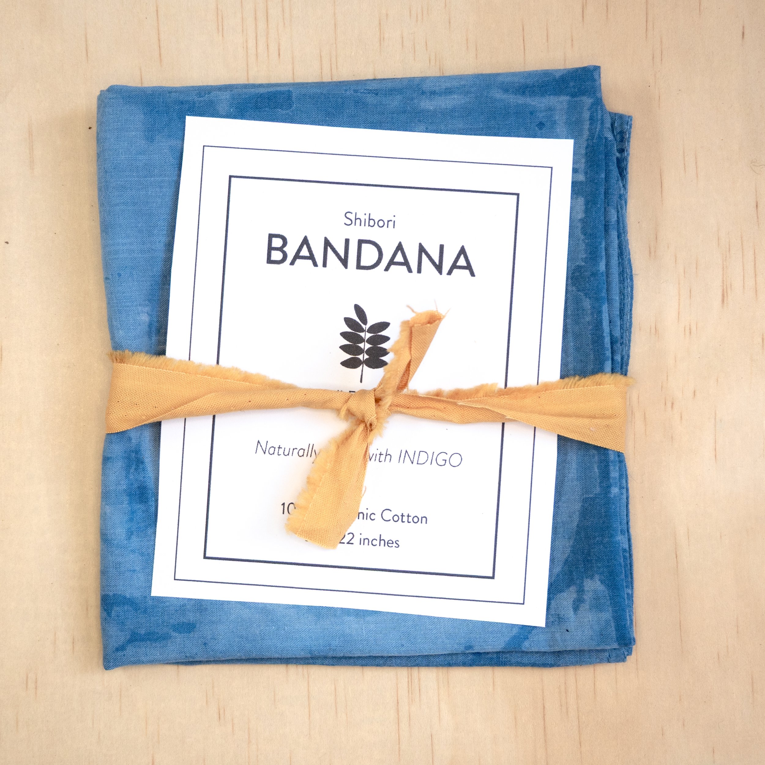 Bandanas-33.jpg