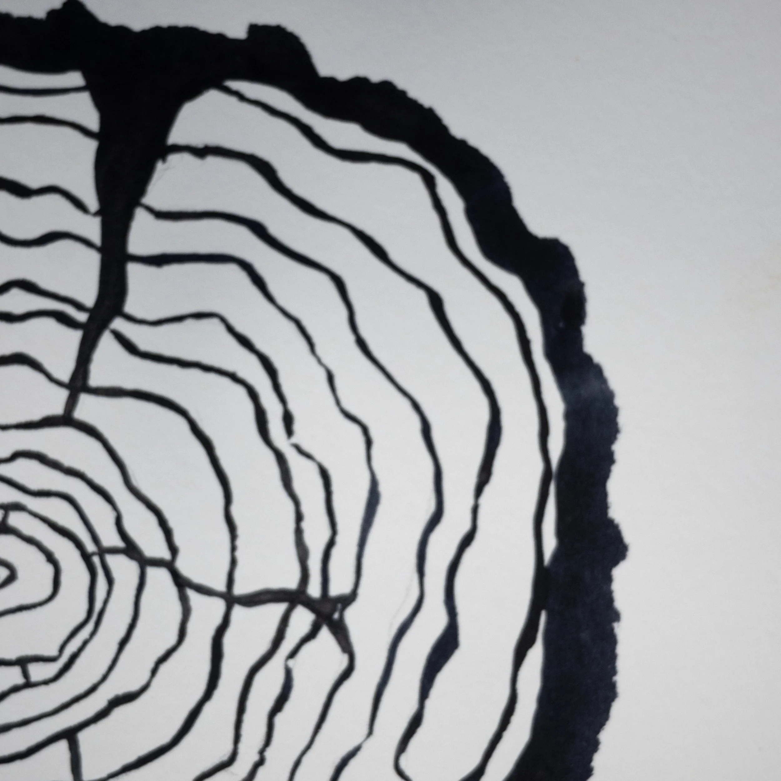 Ink Tree Ring 05b.jpg