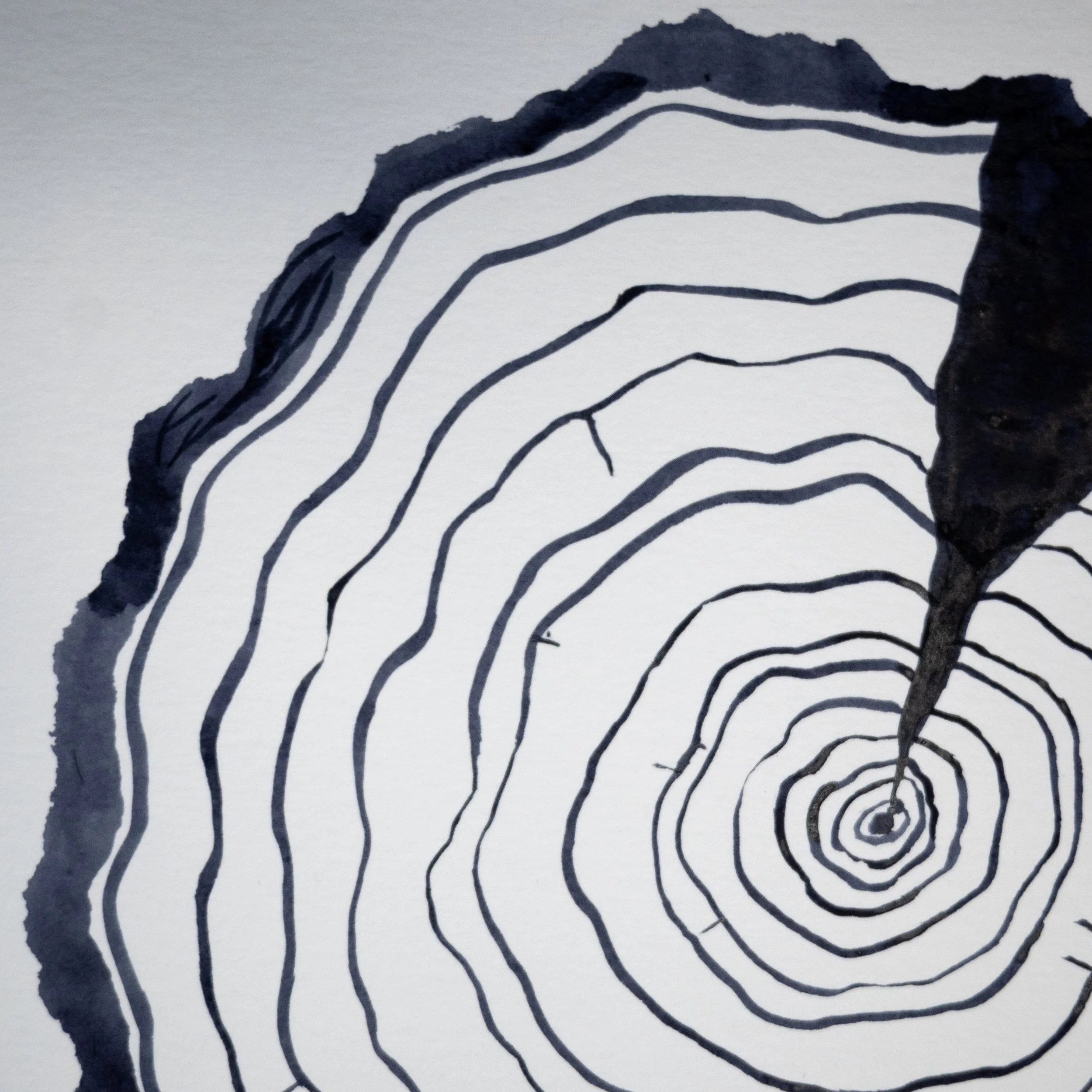 Ink Tree Ring 06b.jpg