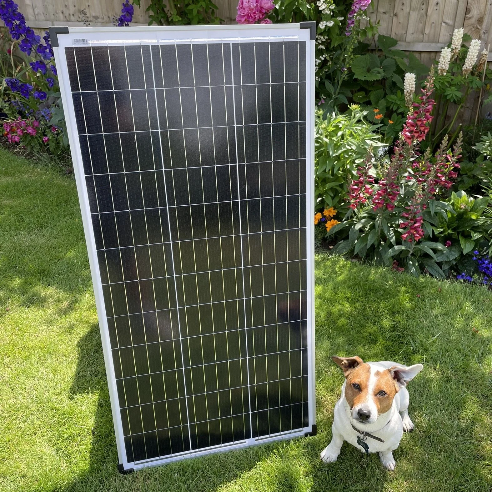 A8F5D751-FAEE-44EB-8934-34B3CCA3DDFD