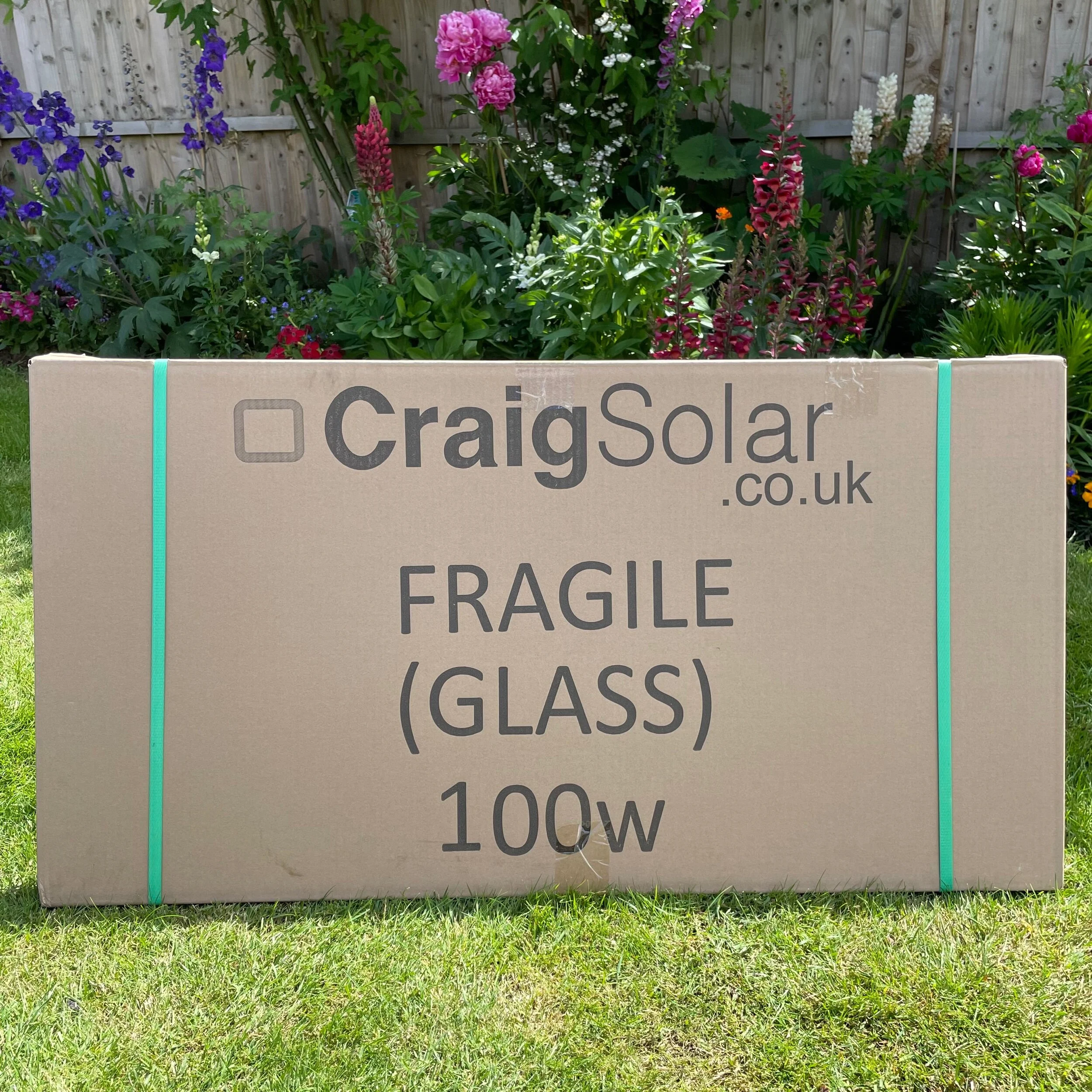 48C355EB-0C9B-4D15-8D9E-12C7DB3E6C8E