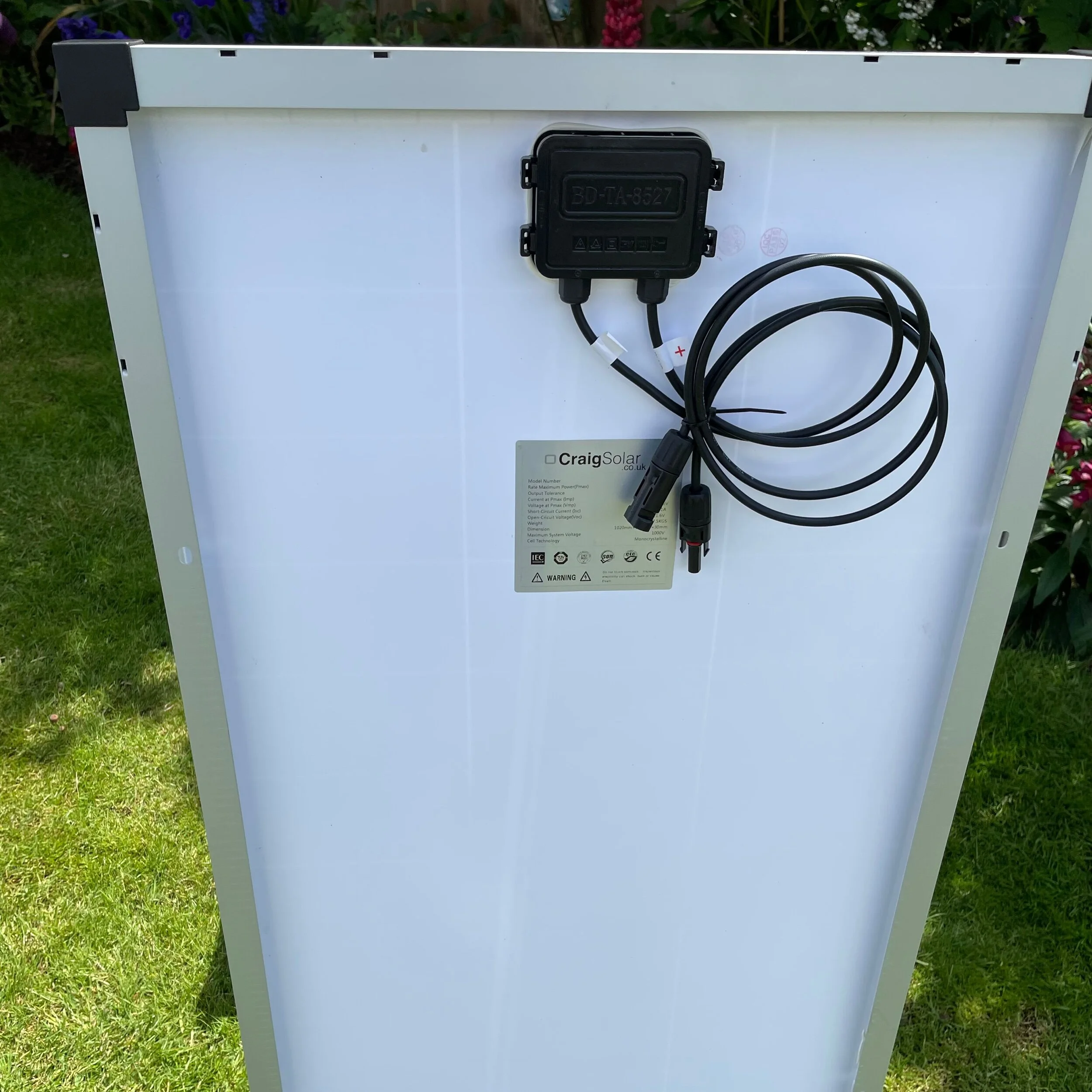 A5027FE3-3EB6-4590-8035-BBCE63FF8B5F