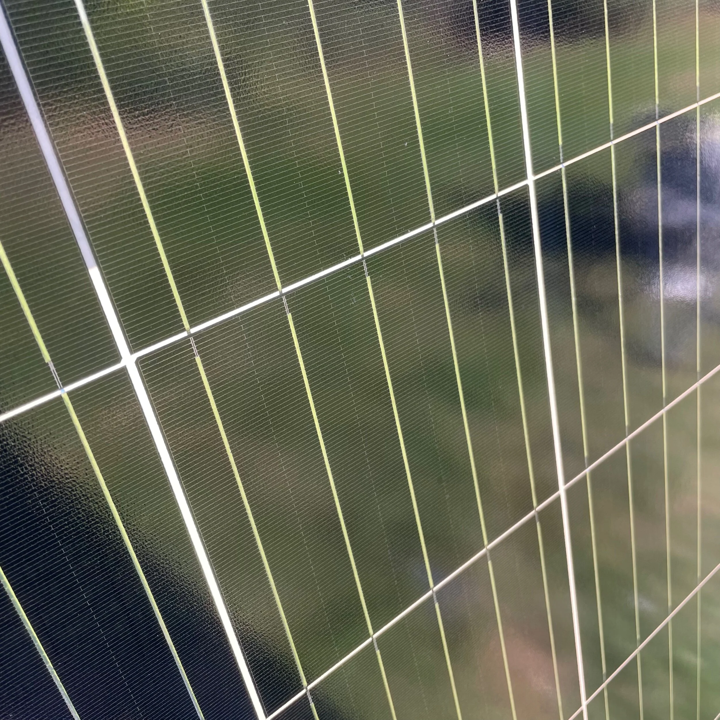 01DFAD2E-3E4E-4FD6-A7B2-F262C820F1F8