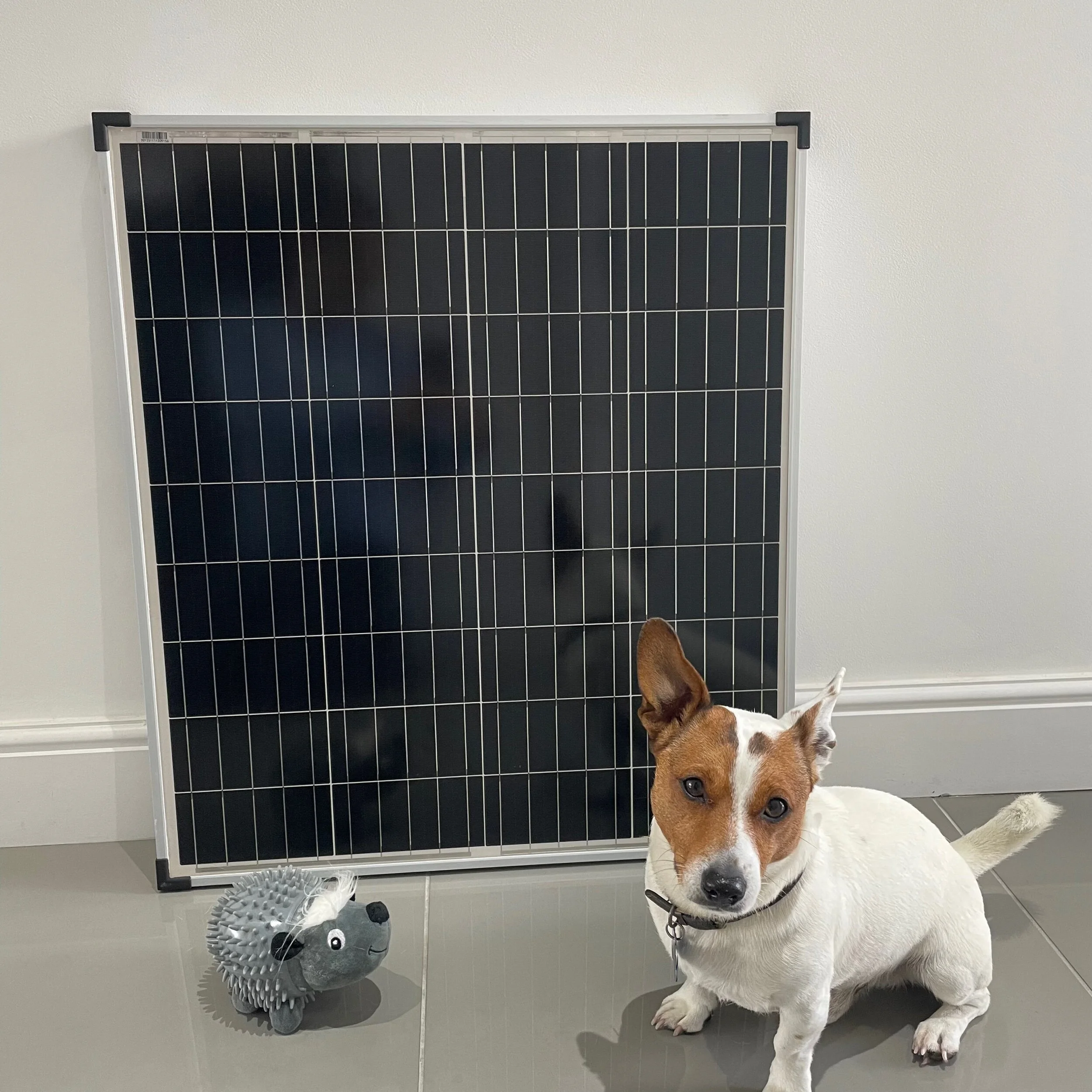 F4A19C90-6BD8-436F-BFE3-0AA522B5A54D