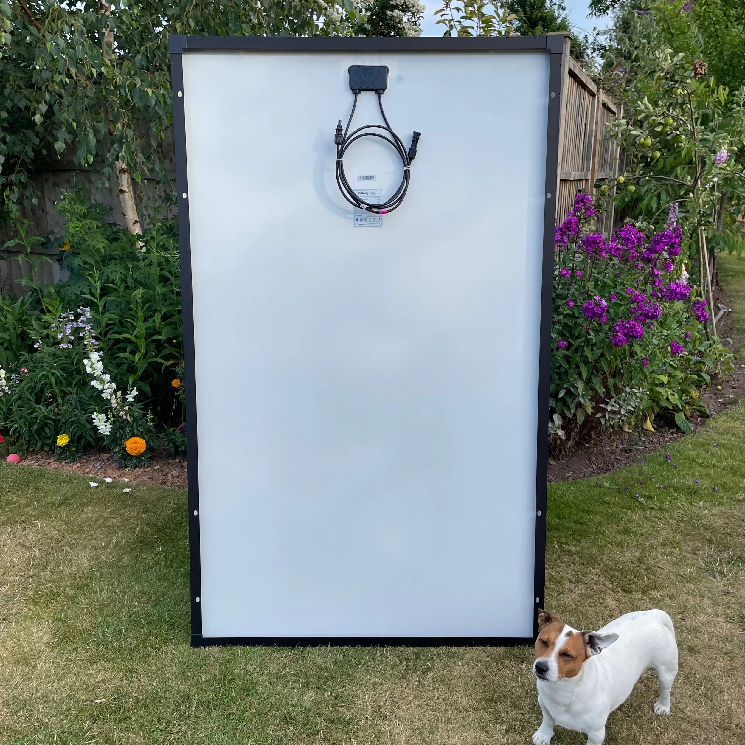 90DF003E-BCA3-4553-AA85-0AE0809599E2