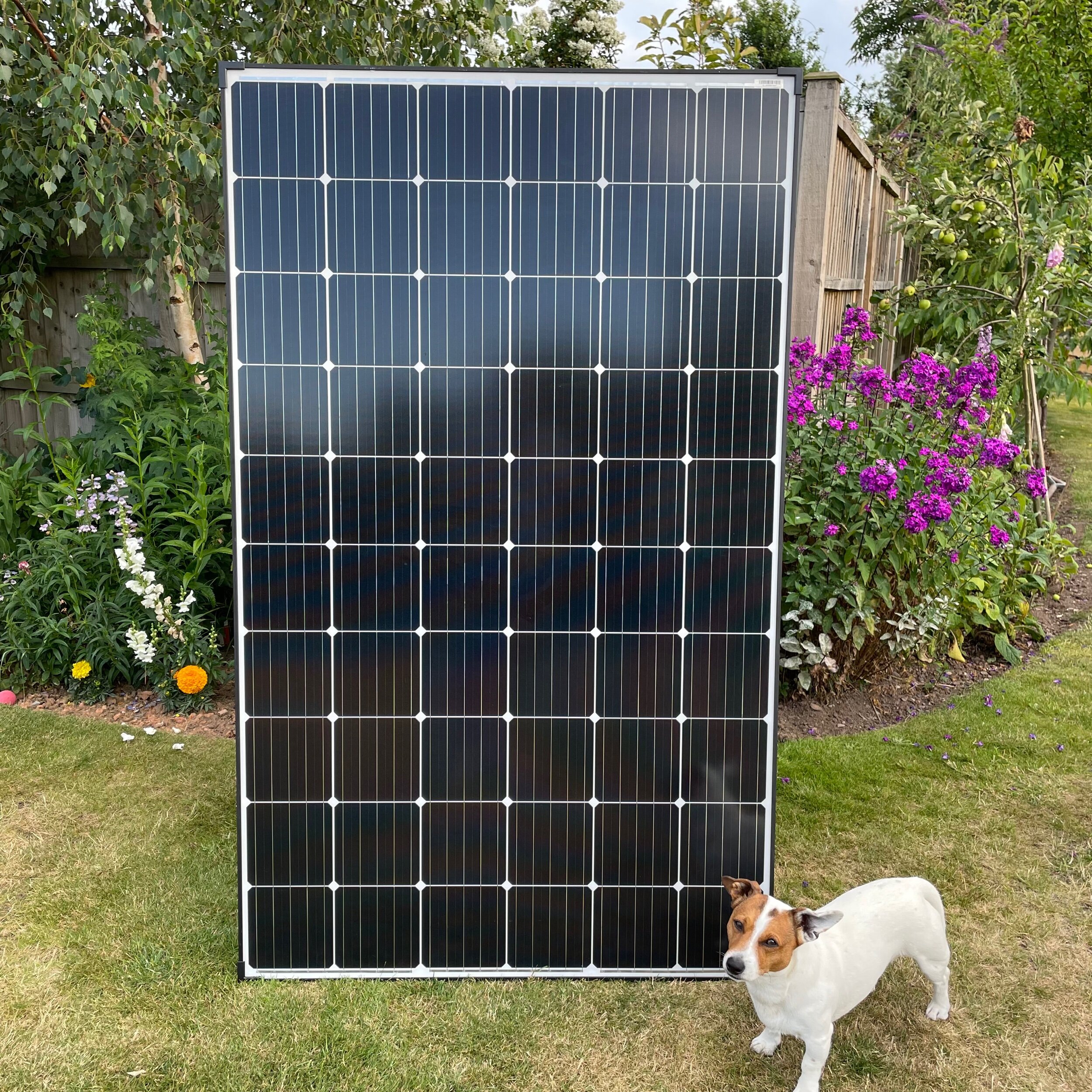 FCA02E87-4830-441A-BB5D-00B6756112F7