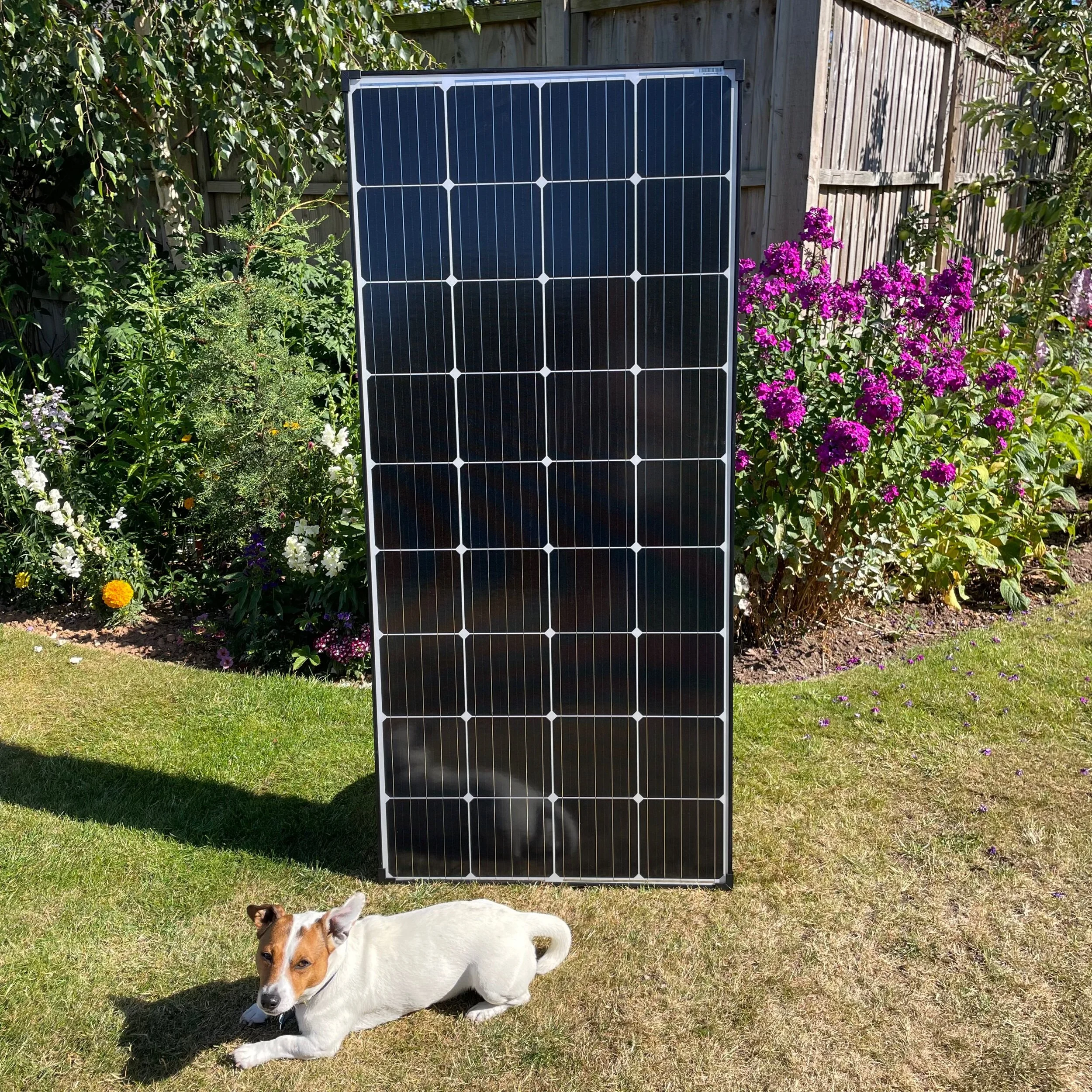 5E476C27-A978-45DB-B913-5F655D5D9008