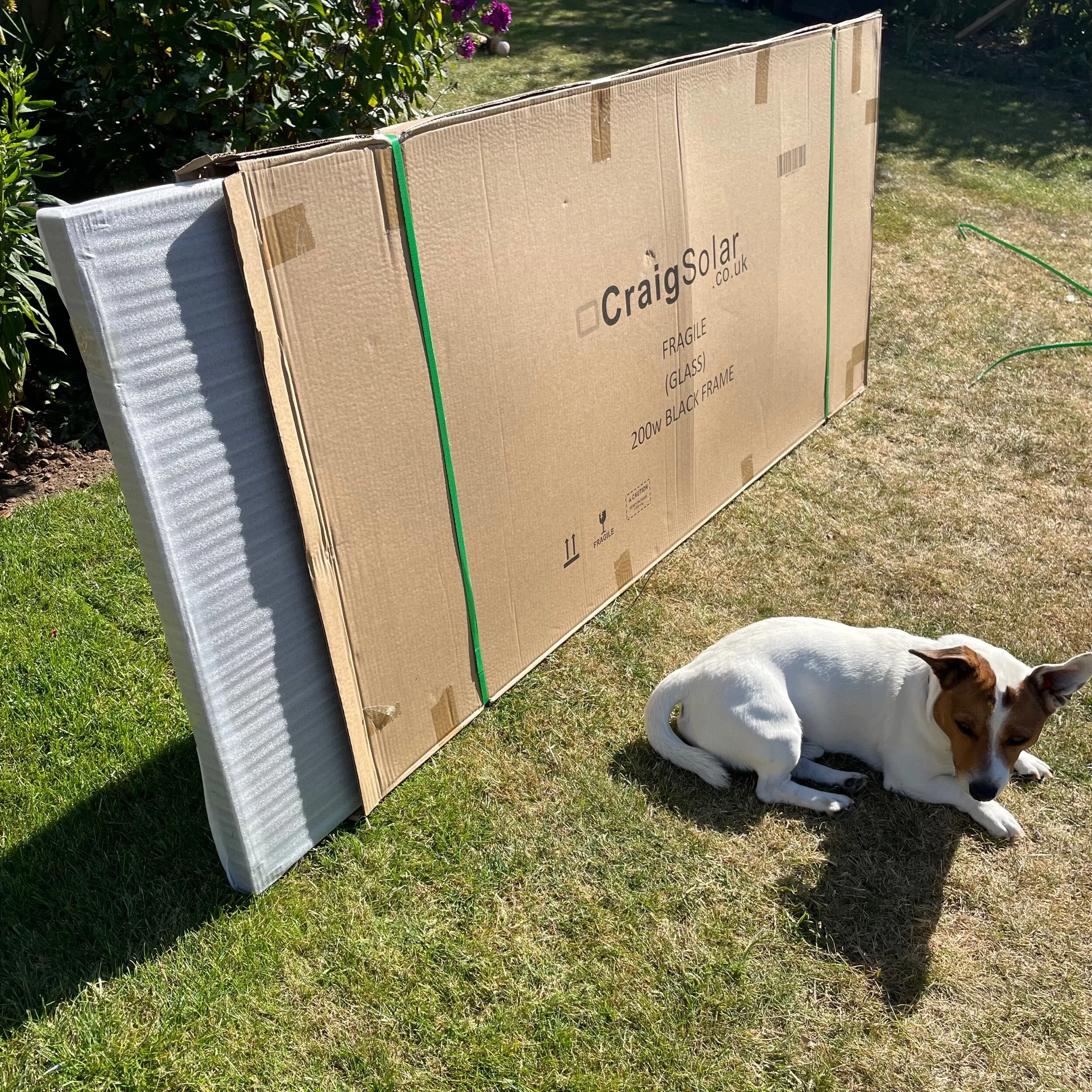 6D8545BF-00D7-48F7-8EC8-1C91E63BC7E1