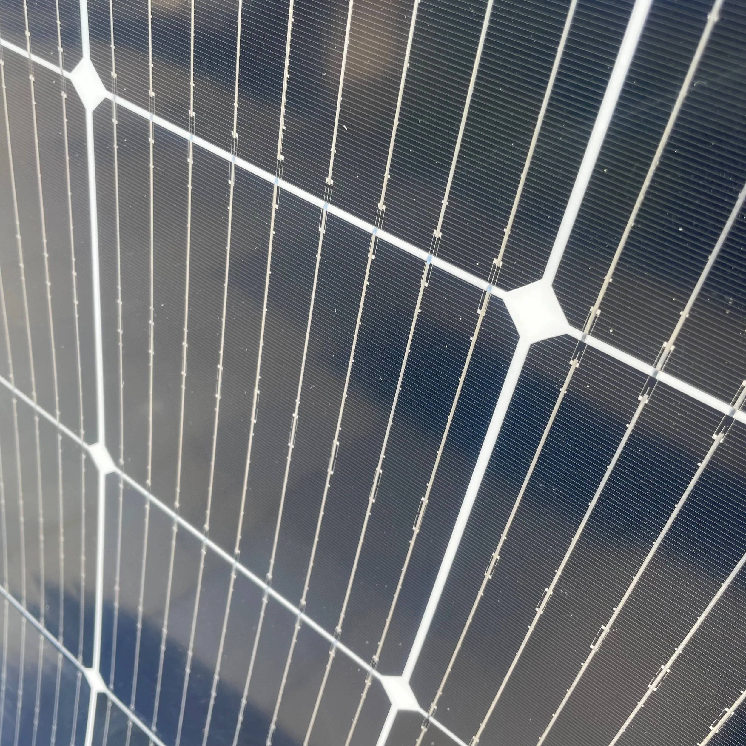 95660225-84F8-4D3E-BA4C-6F6358FAEEF2