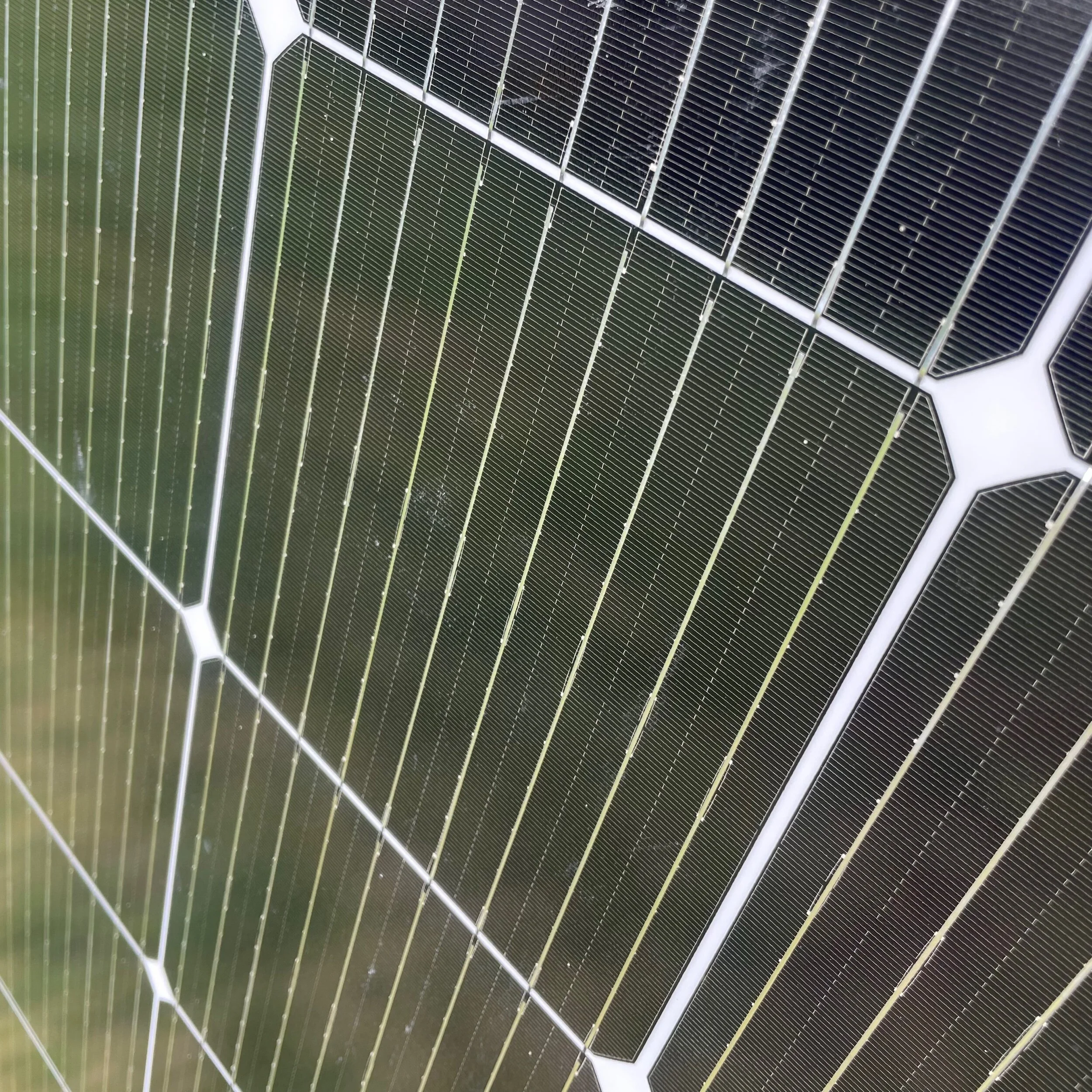 48693D0F-994C-43F8-992C-BC76755A9442