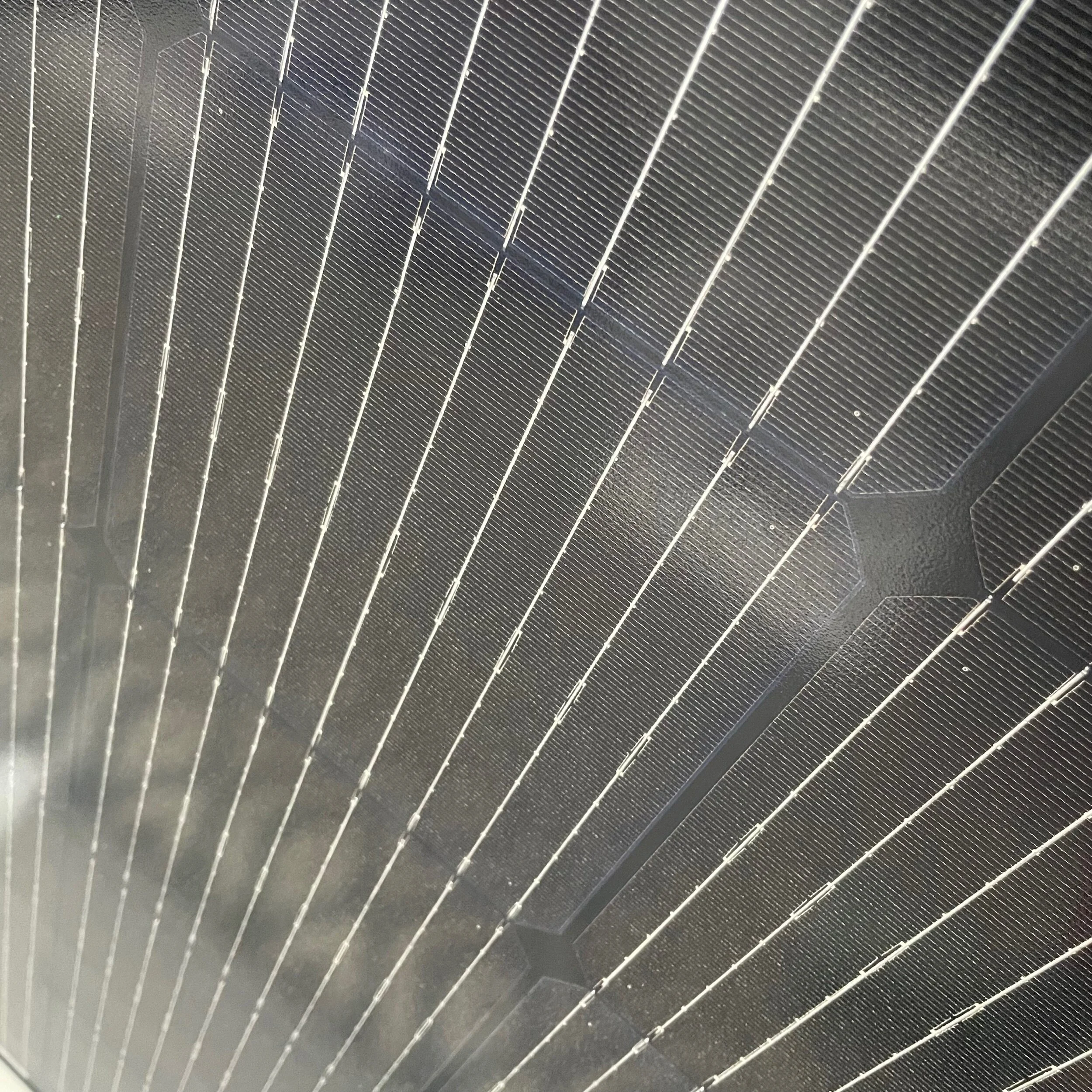 E4437B74-195D-464F-8449-3EE7230A30A7