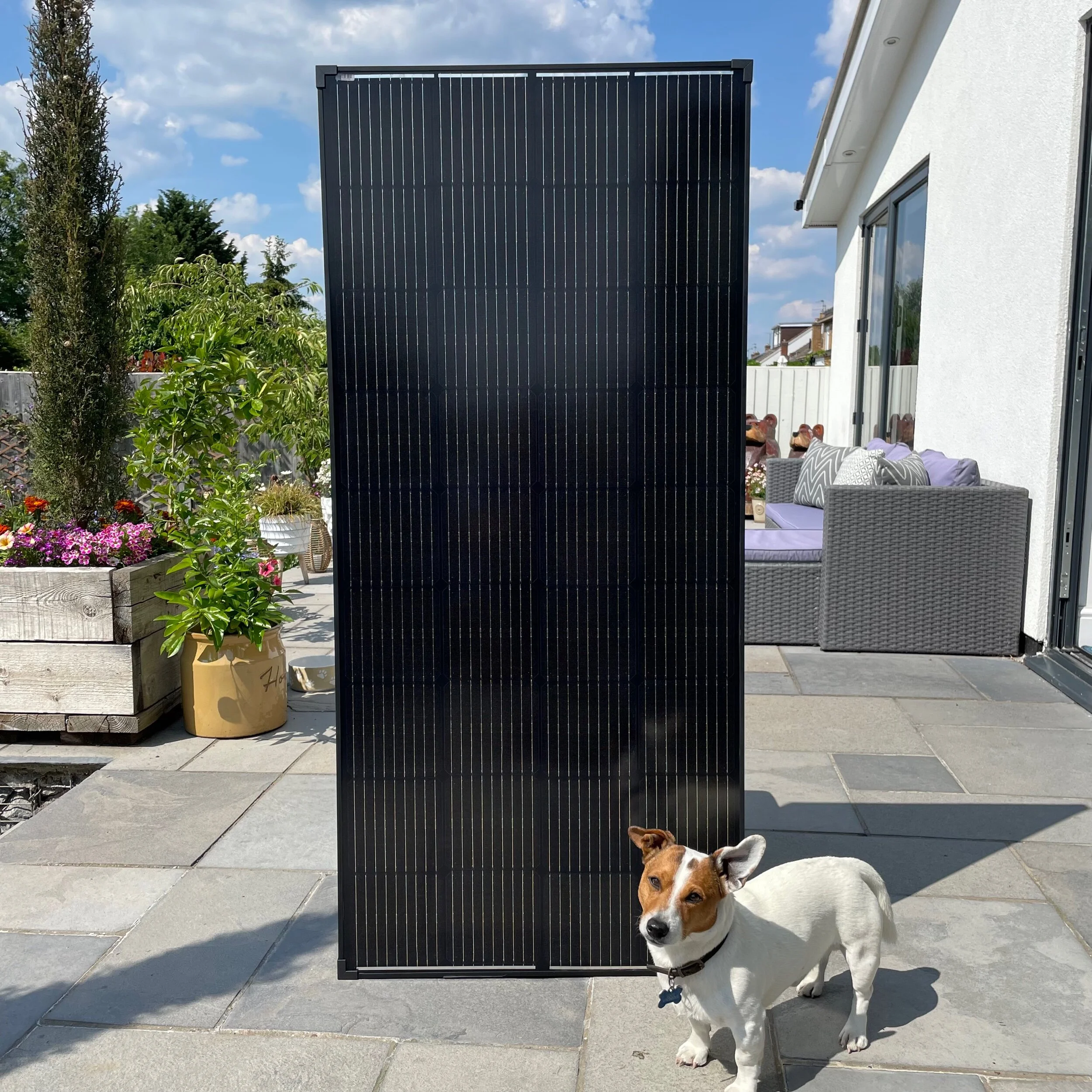 04D25335-B06D-43CC-AB6C-9DD9180B94FD