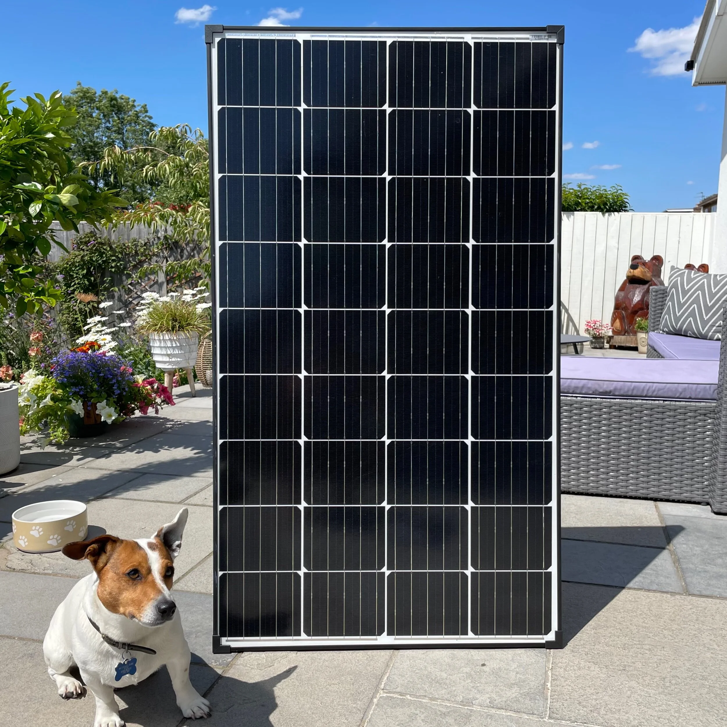 FEB0D622-66F9-40A8-B0CF-2559BB47D98D