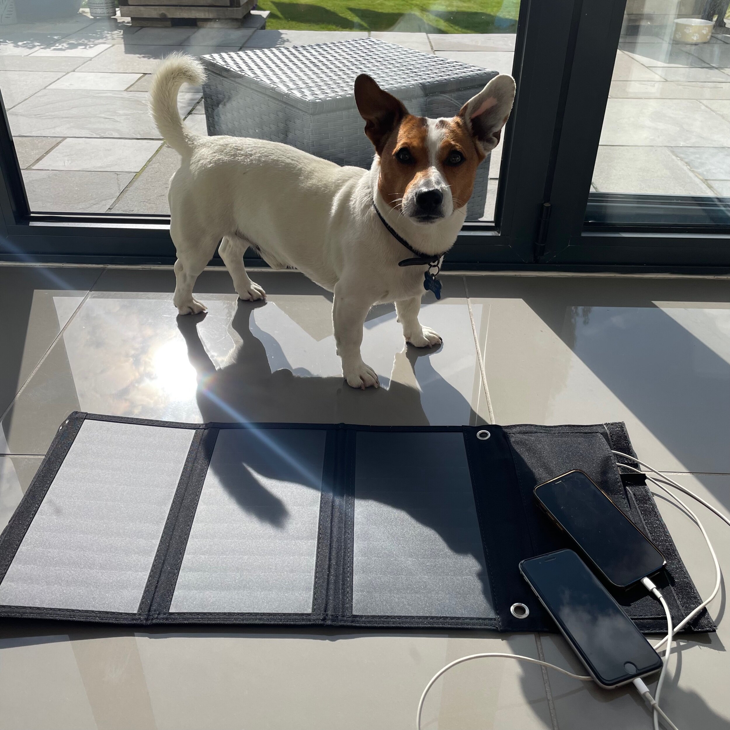 9A1D7CB8-CB0D-45D7-B4C4-7CAA142FE20A