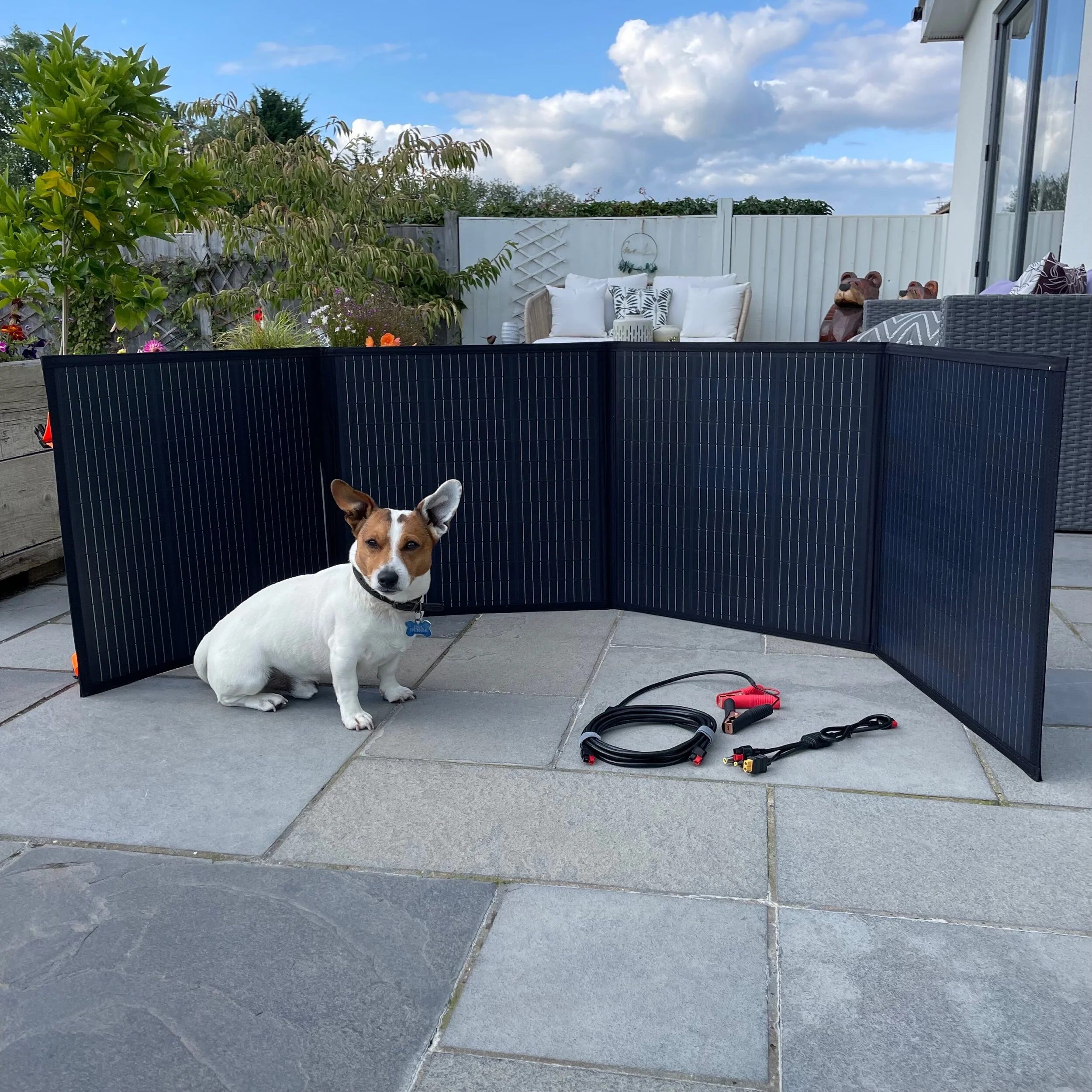 0B8251FA-00B2-4B55-A52B-1802E313049C